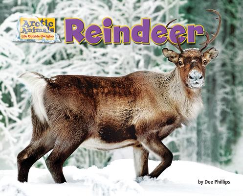 Vorderes Coverbild Reindeer