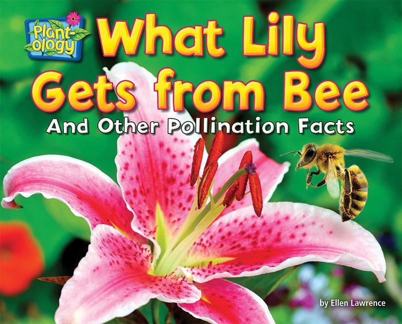 Vorderes Coverbild What Lily Gets from Bee
