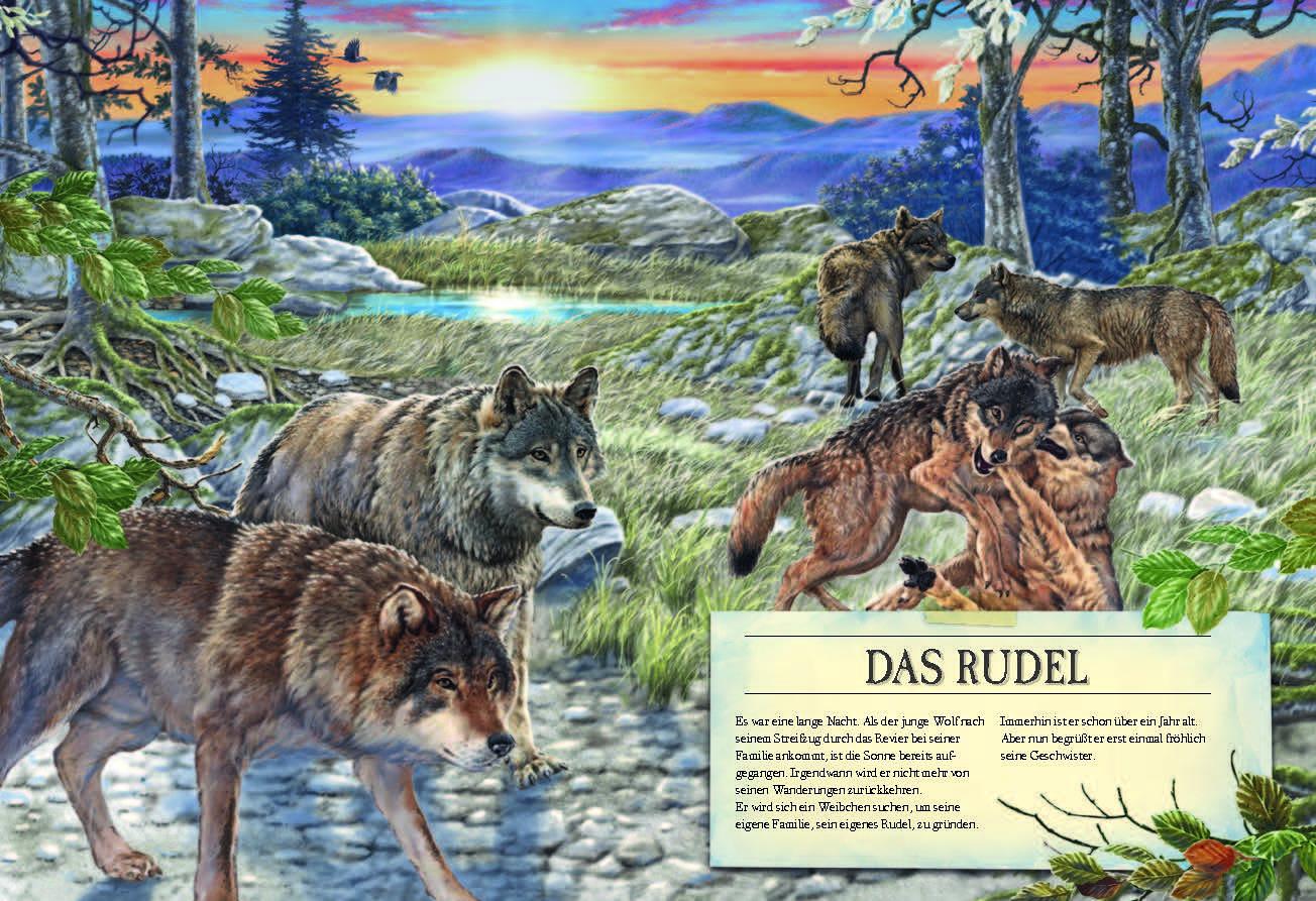 Beispielinhalt (Bild) Verborgene Welt der Wölfe