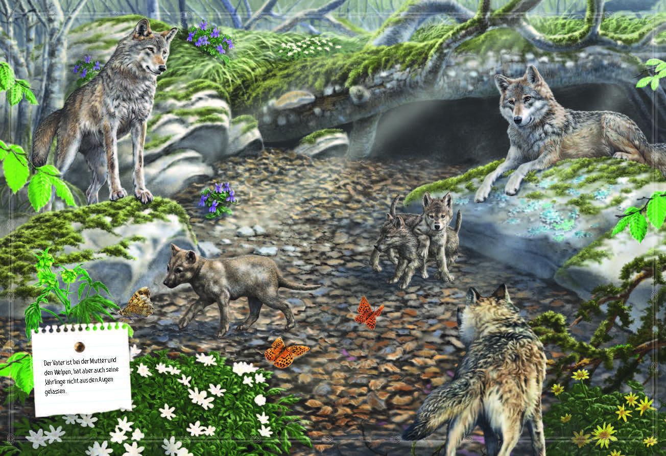 Beispielinhalt (Bild) Verborgene Welt der Wölfe