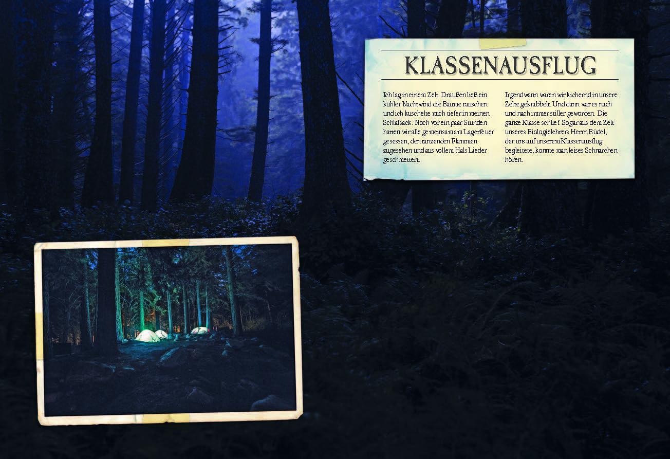 Beispielinhalt (Bild) Verborgene Welt der Wölfe