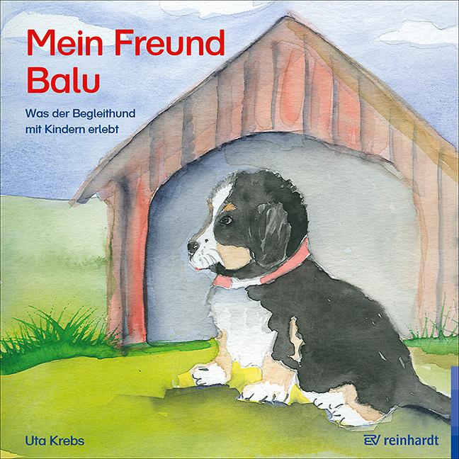 Vorderes Coverbild Mein Freund Balu