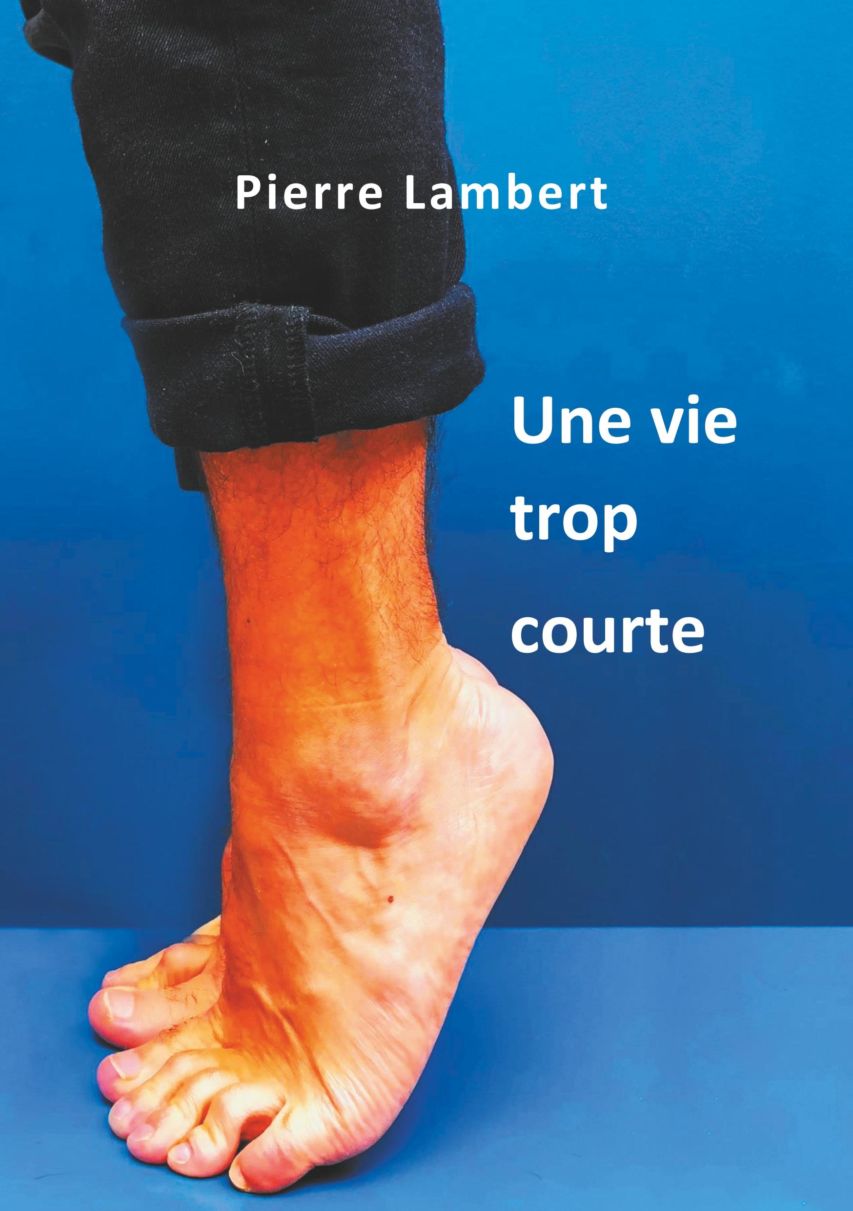 Vorderes Coverbild Une vie trop courte