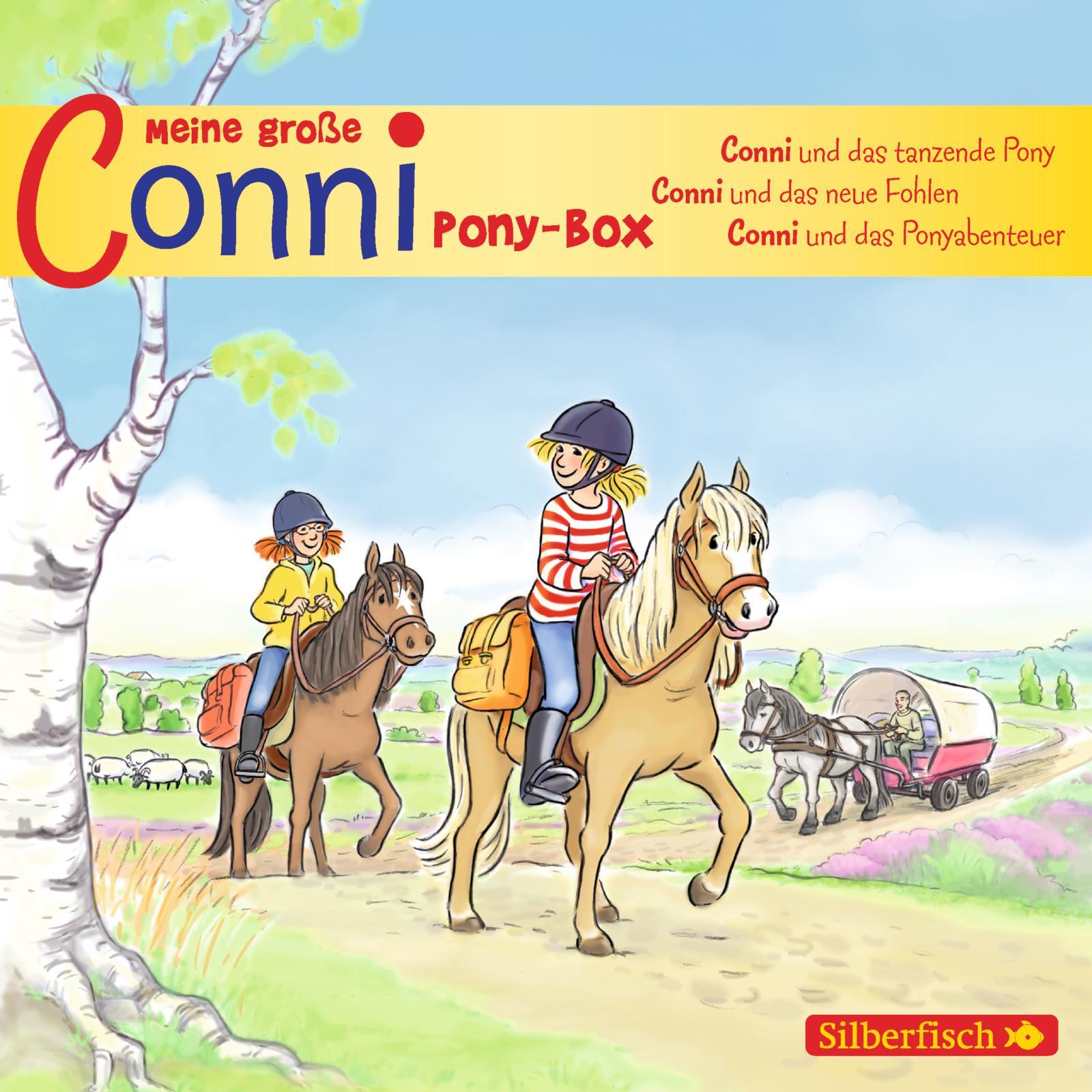 Vorderes Coverbild Meine große Conni-Ponybox