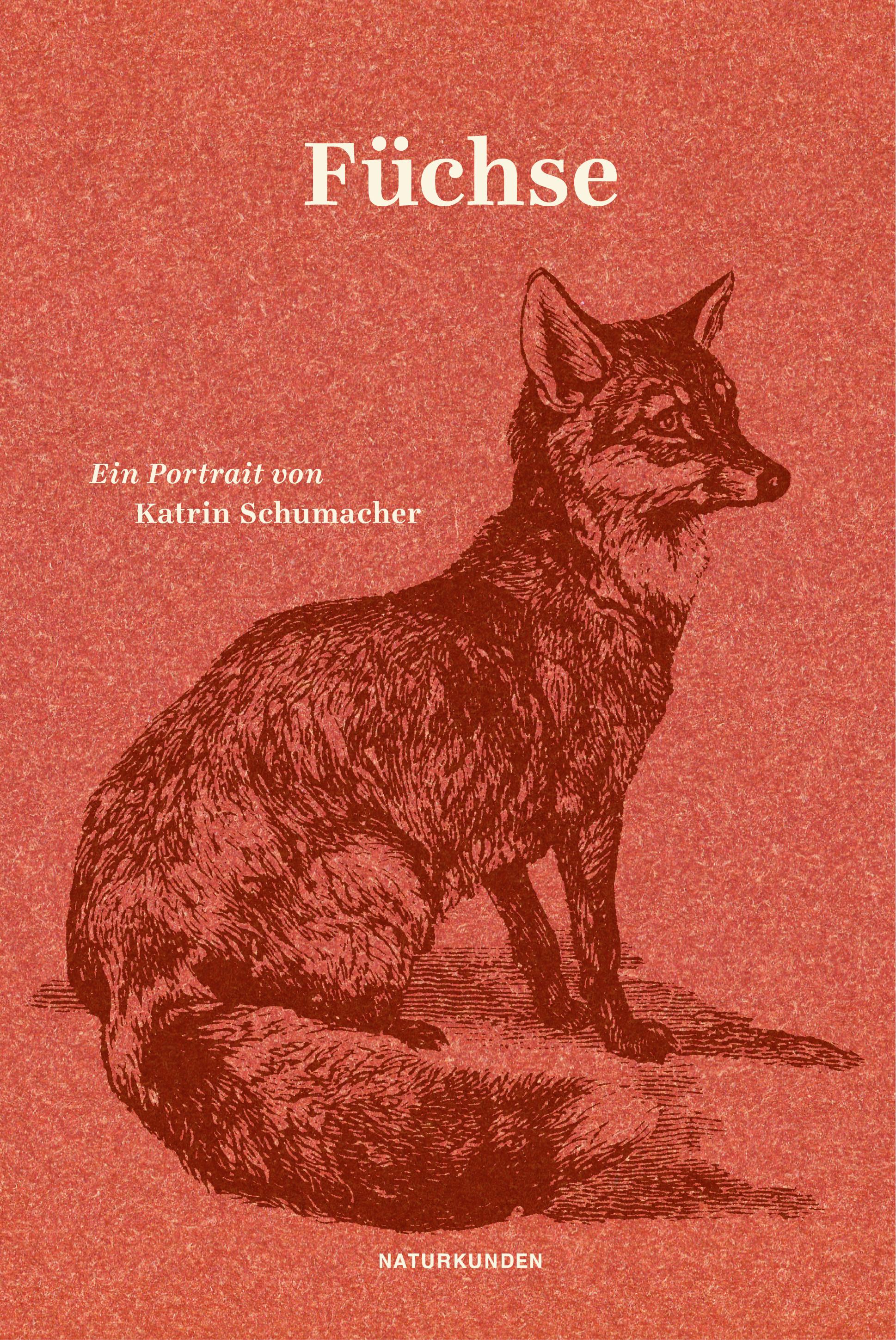 Vorderes Coverbild Füchse