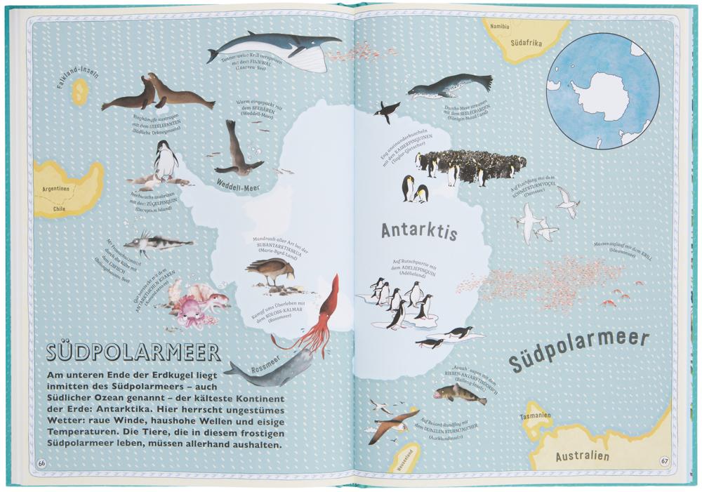Beispielinhalt (Bild) Der Atlas der Ozeane