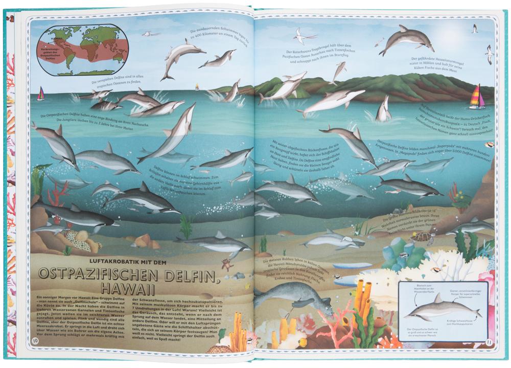 Beispielinhalt (Bild) Der Atlas der Ozeane