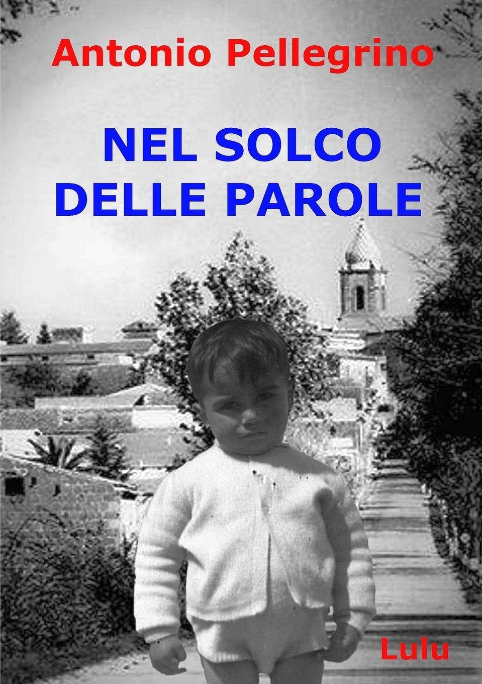 Vorderes Coverbild NEL SOLCO DELLE PAROLE