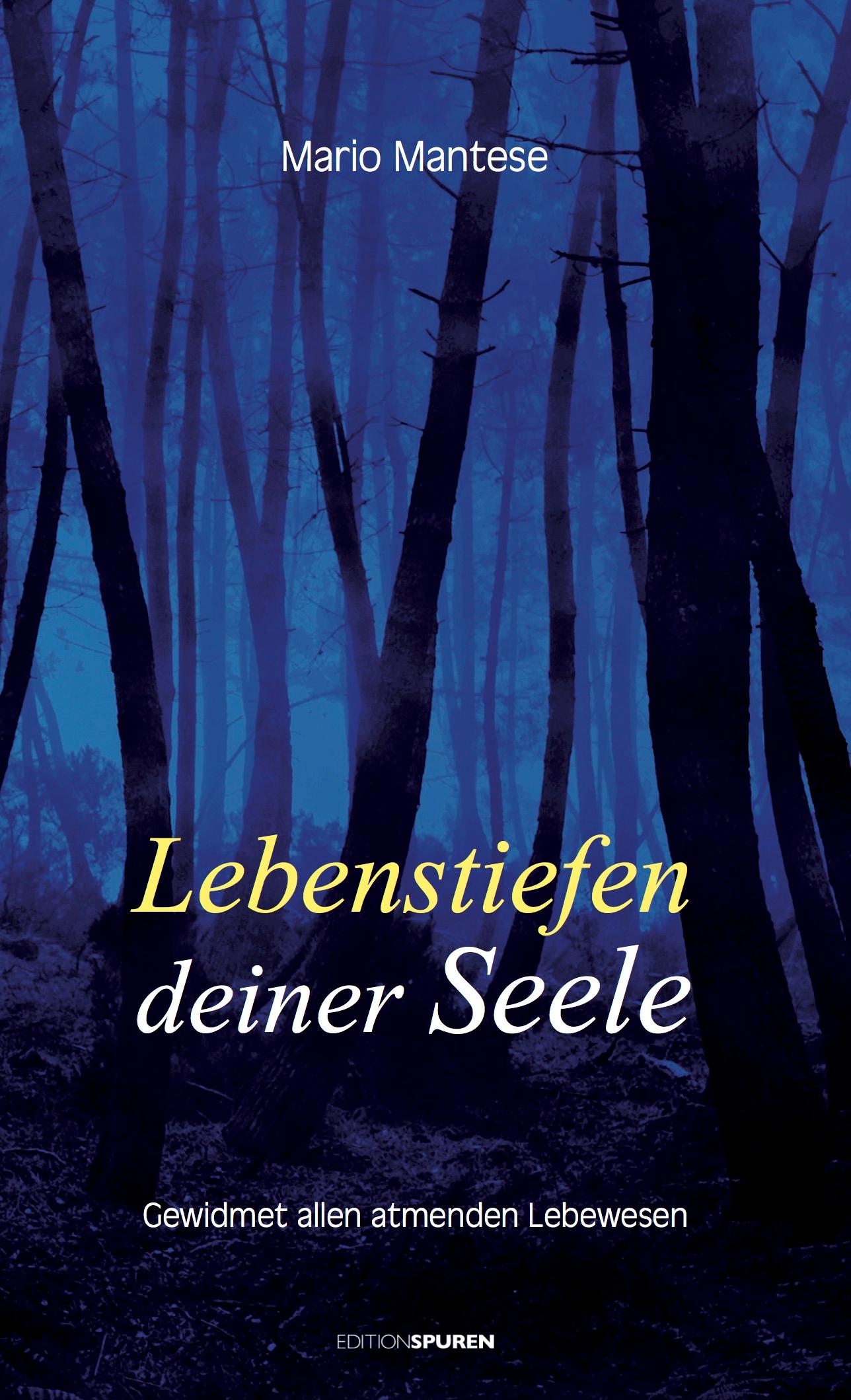 Vorderes Coverbild Lebenstiefen deiner Seele