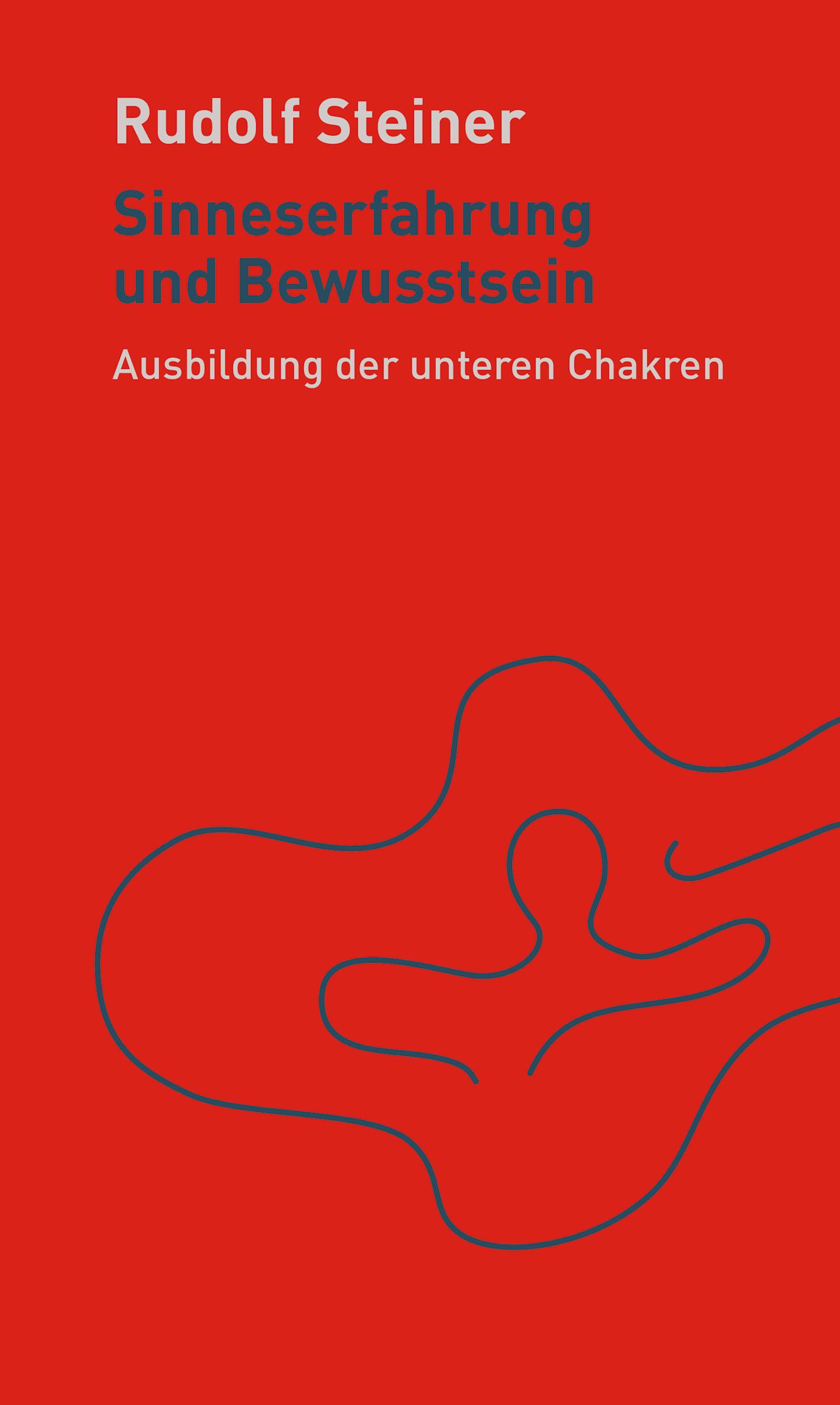 Vorderes Coverbild Sinneserfahrung und Bewusstsein
