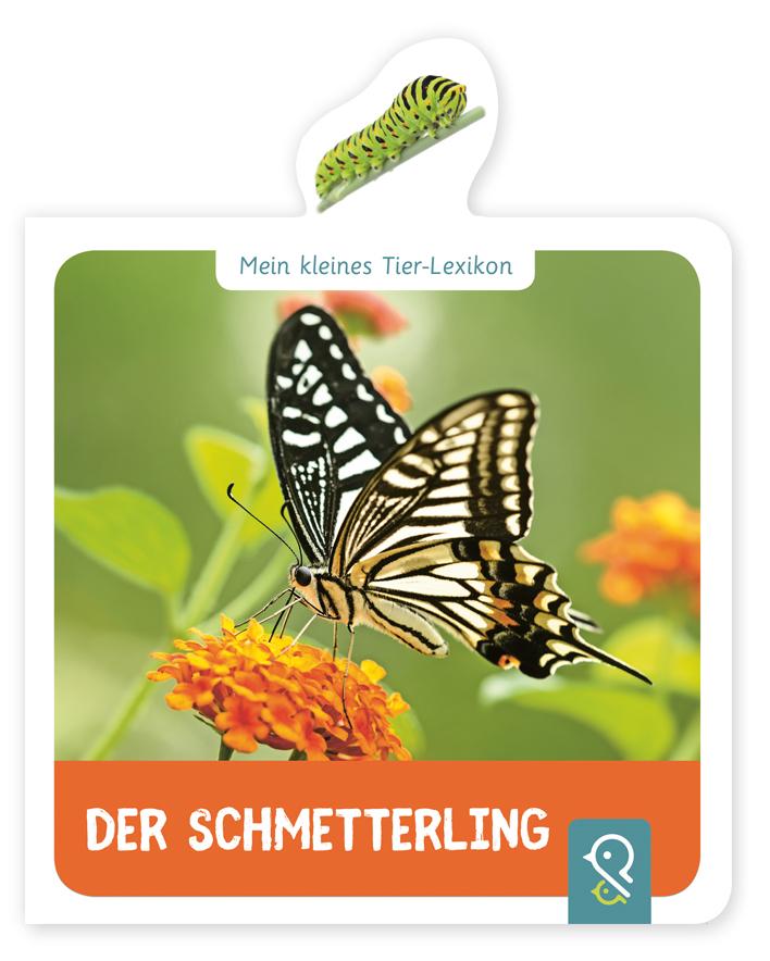 Vorderes Coverbild Mein kleines Tier-Lexikon - Der Schmetterling