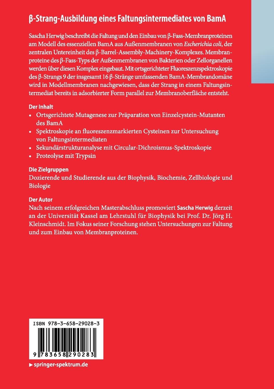 Rückseitencover ¿-Strang-Ausbildung eines Faltungsintermediates von BamA