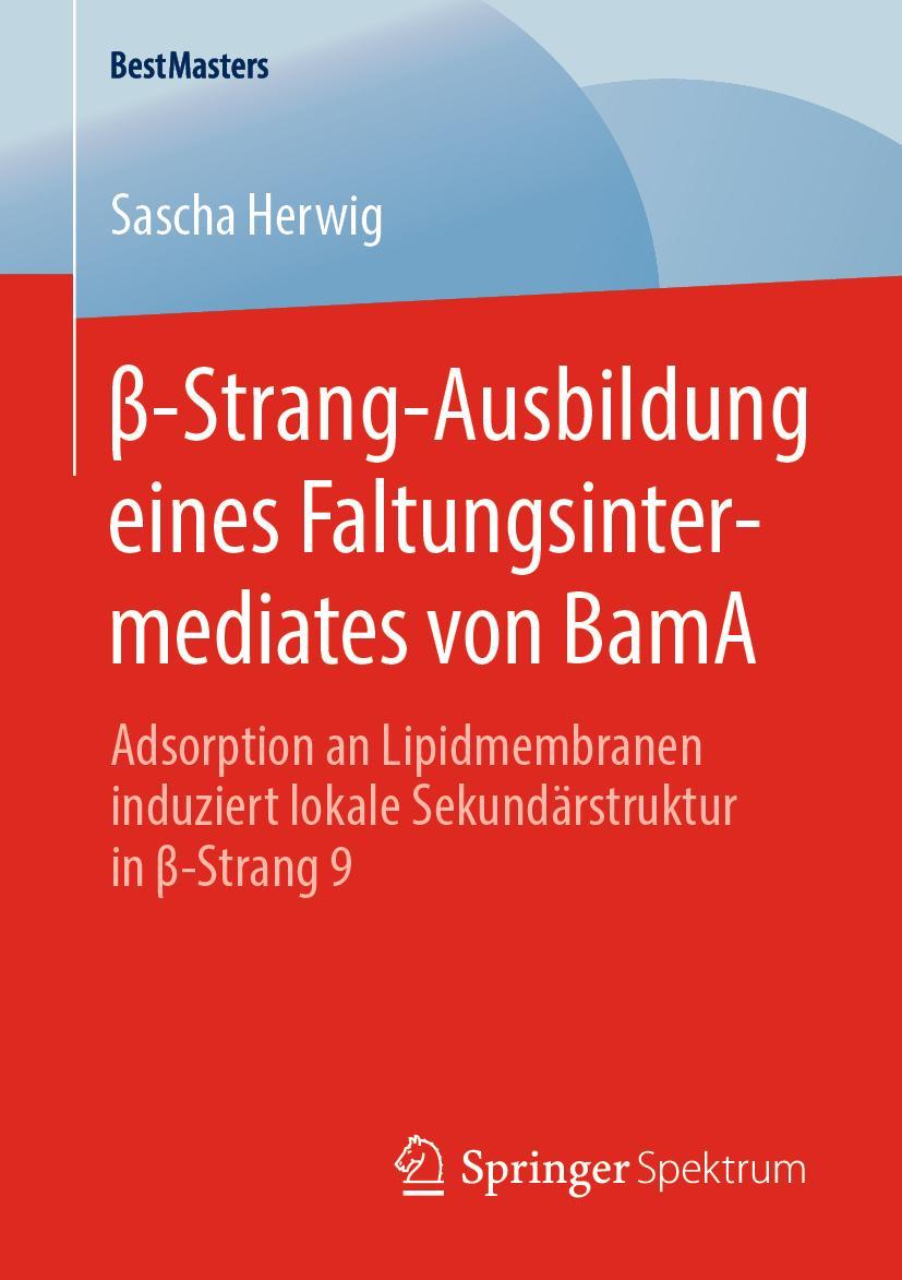 Vorderes Coverbild ¿-Strang-Ausbildung eines Faltungsintermediates von BamA