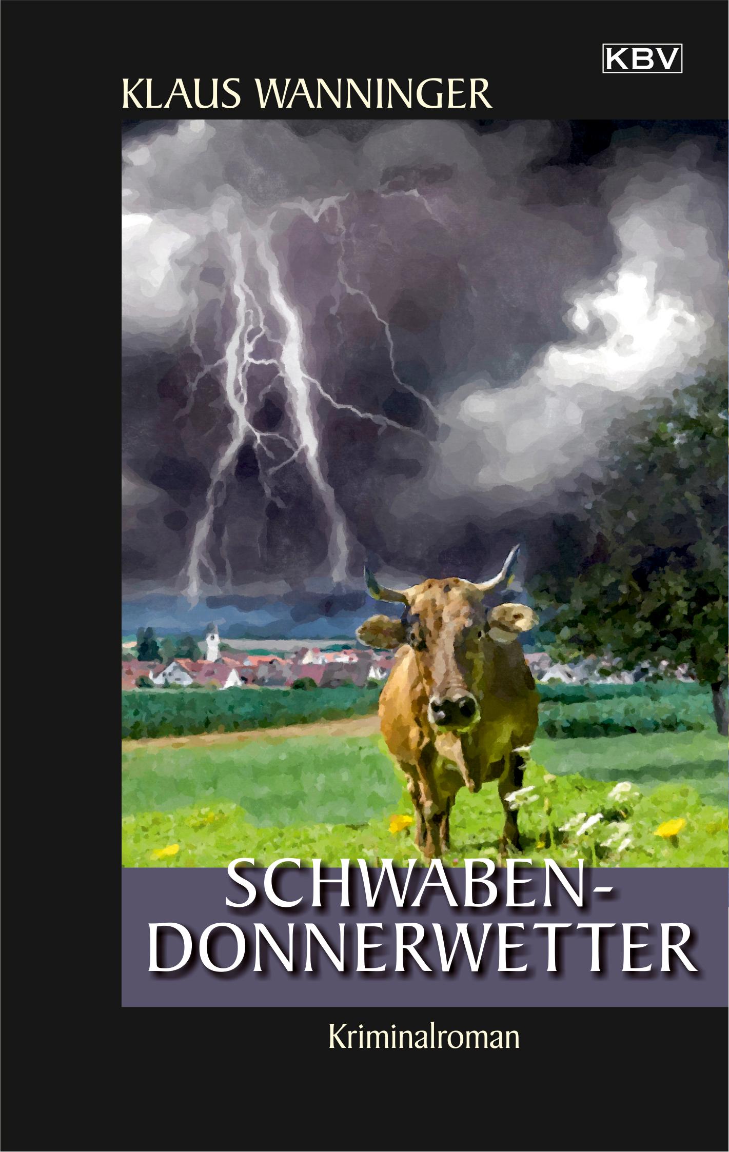 Vorderes Coverbild Schwaben-Donnerwetter
