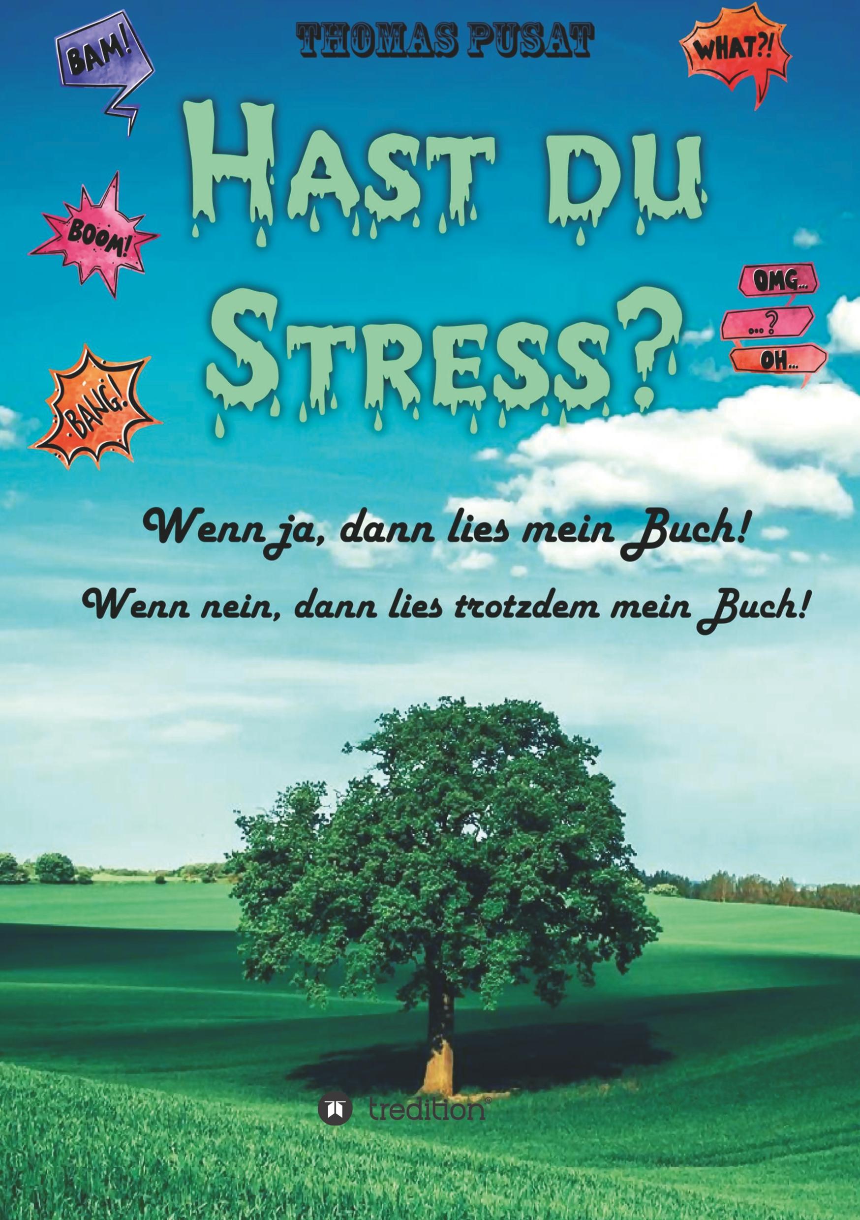 Vorderes Coverbild Hast Du Stress?