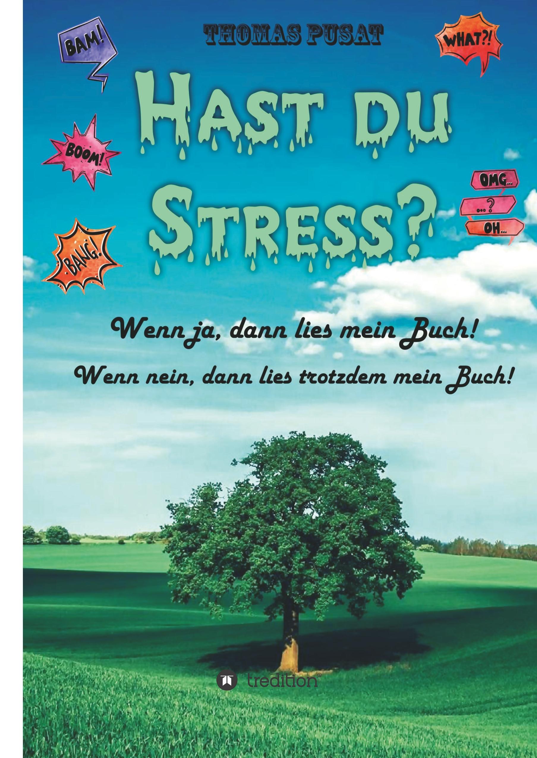 Vorderes Coverbild Hast Du Stress?