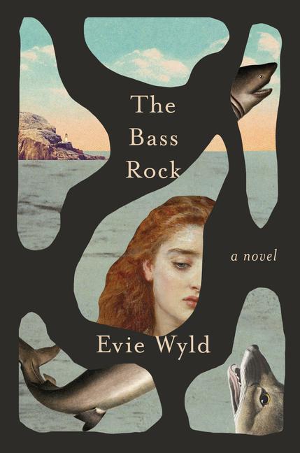 Vorderes Coverbild The Bass Rock