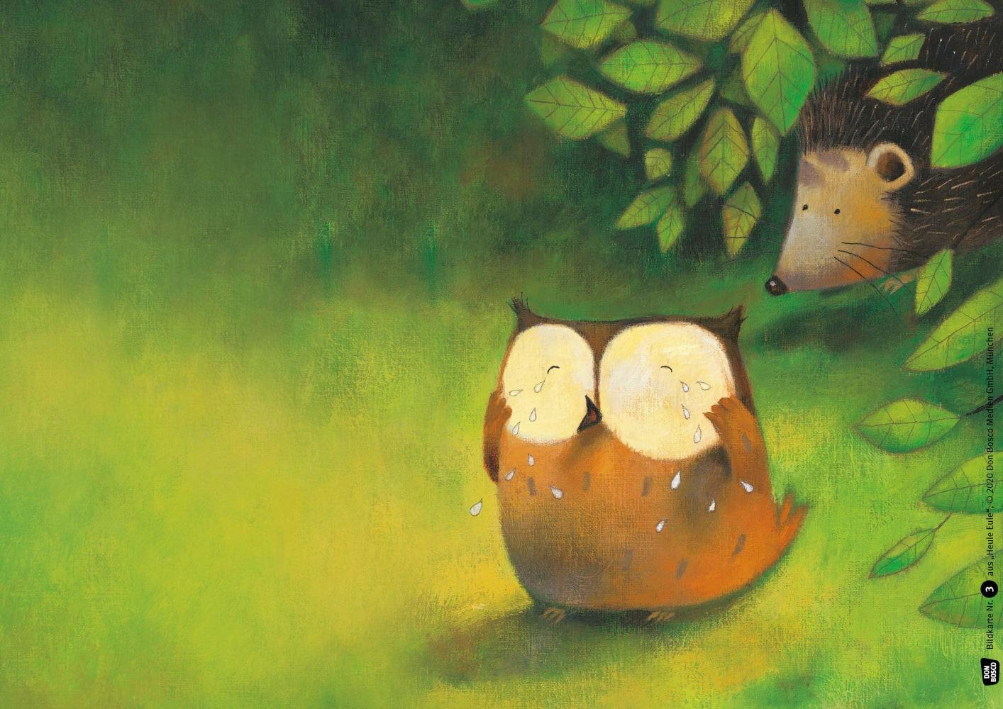 Beispielinhalt (Bild) Heule Eule. Kamishibai Bildkartenset