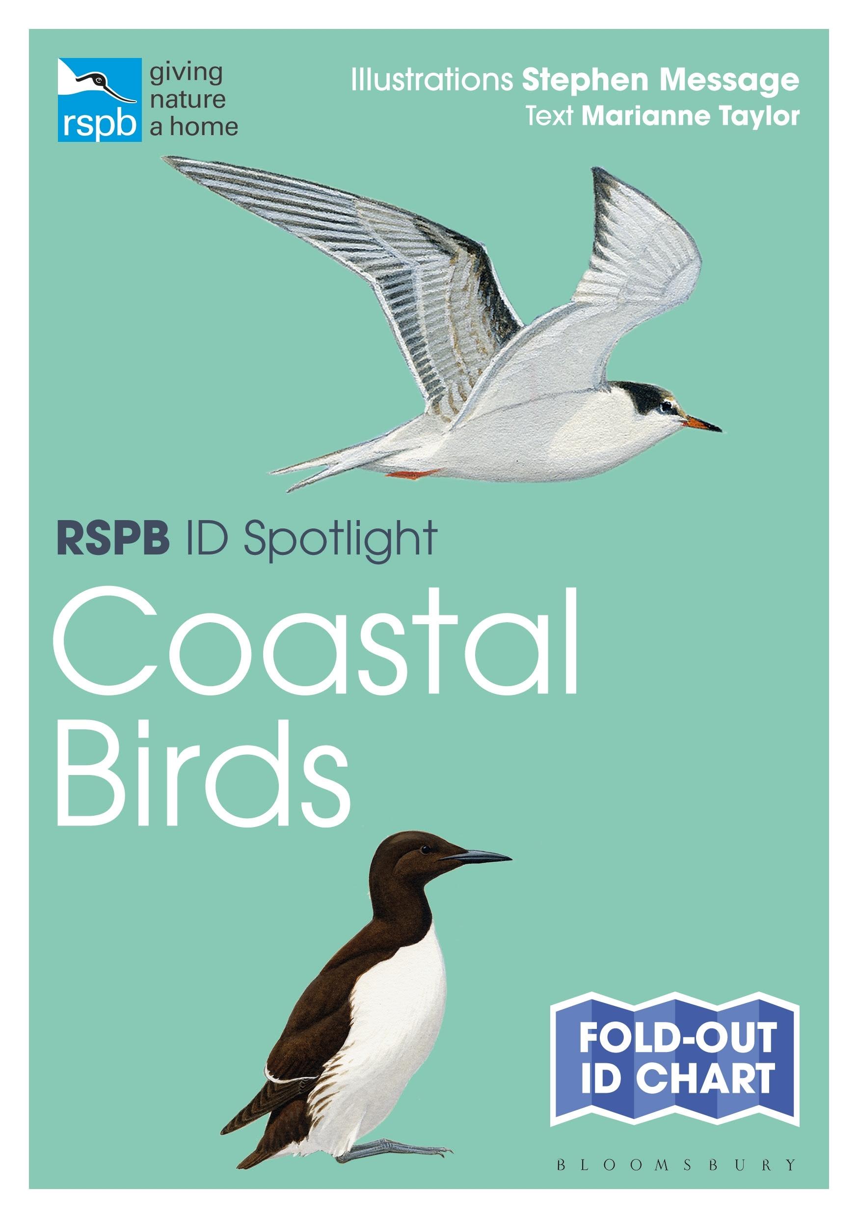 Vorderes Coverbild RSPB ID Spotlight - Coastal Birds