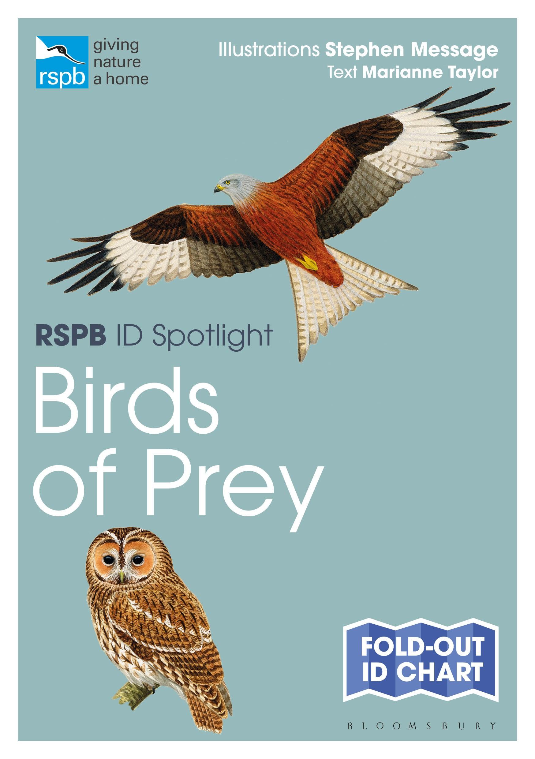 Vorderes Coverbild RSPB ID Spotlight - Birds of Prey