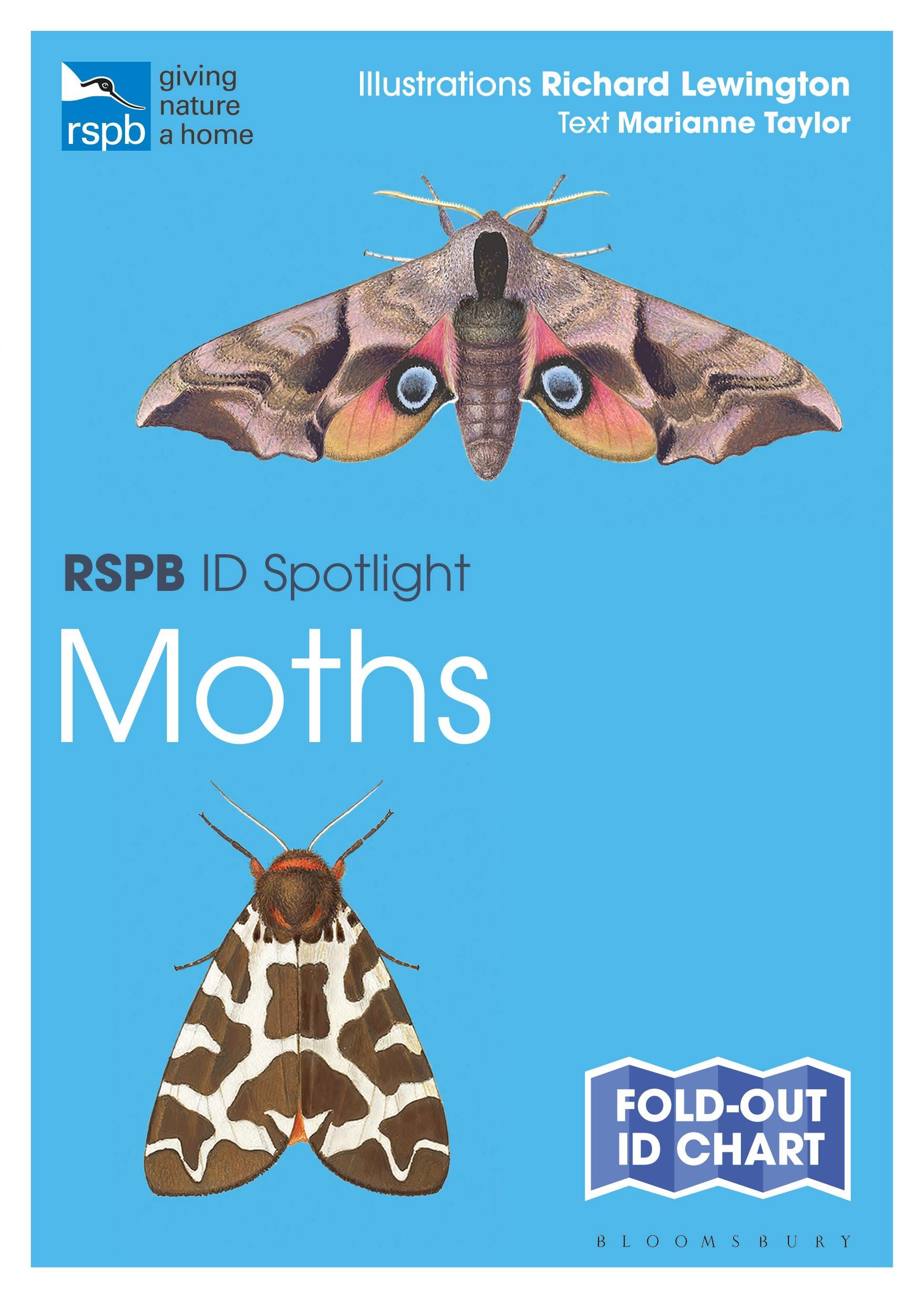 Vorderes Coverbild RSPB ID Spotlight - Moths