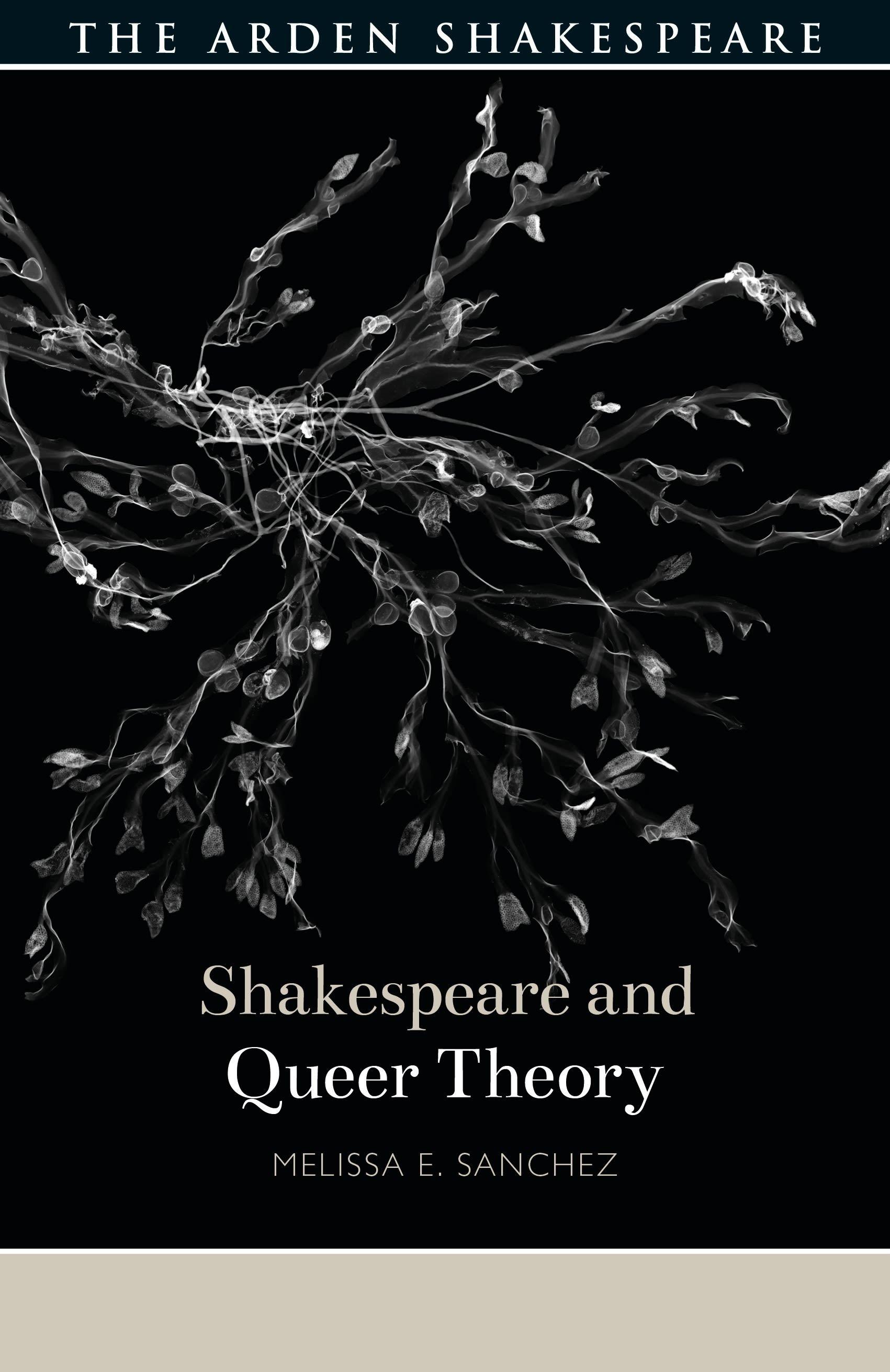 Vorderes Coverbild Shakespeare and Queer Theory