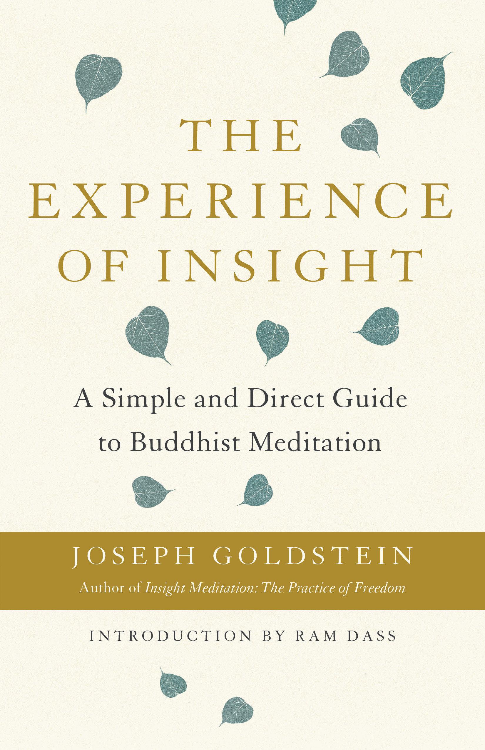 Vorderes Coverbild The Experience of Insight