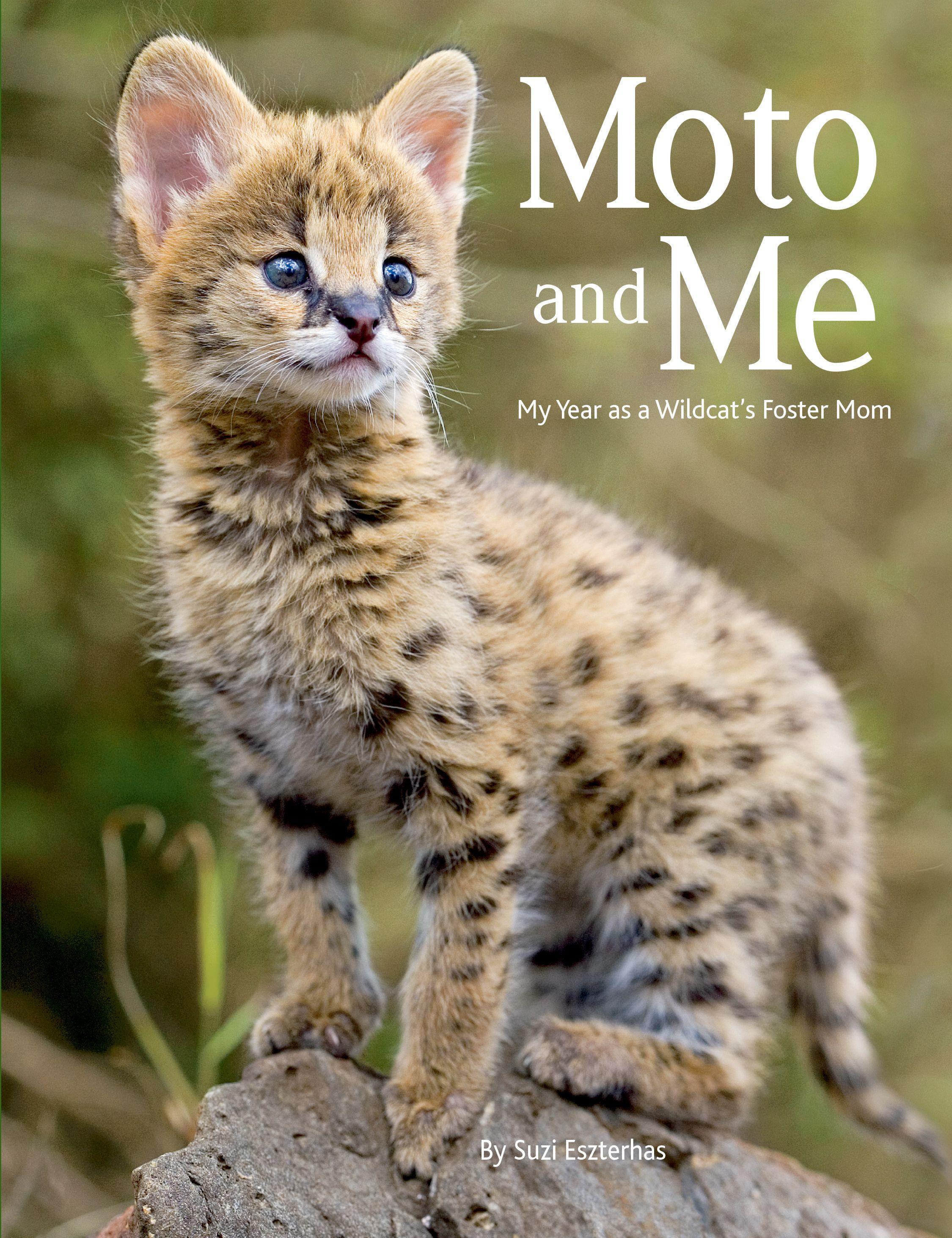 Vorderes Coverbild Moto and Me