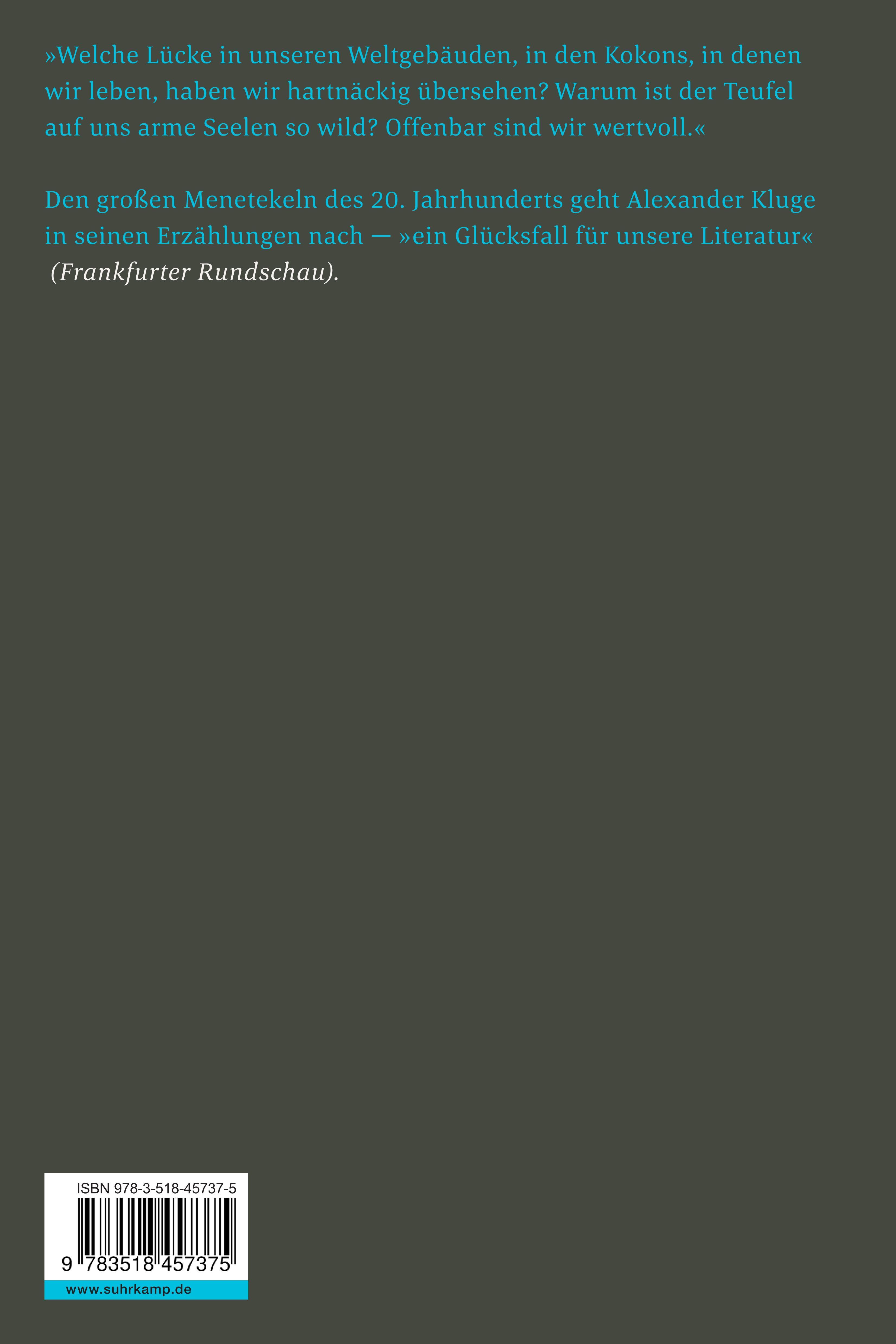 Rückseitencover Die Lücke, die der Teufel läßt