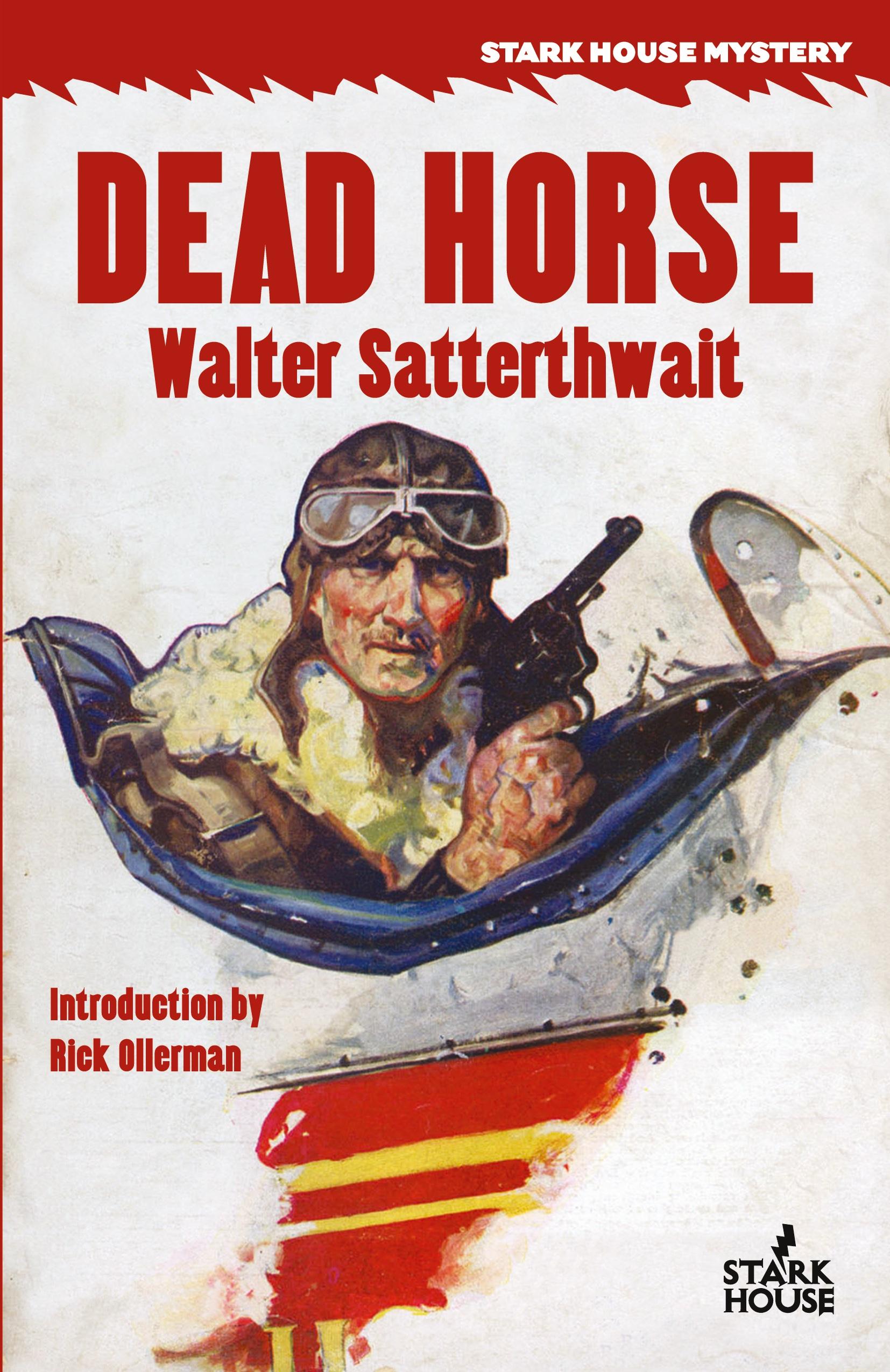 Vorderes Coverbild Dead Horse