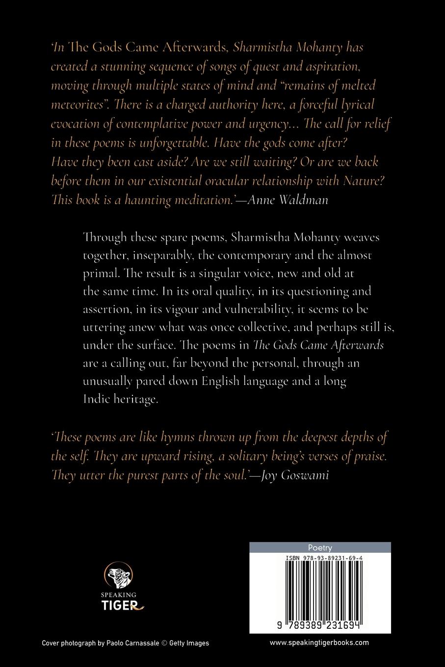 Rückseitencover The Gods Came Afterwards