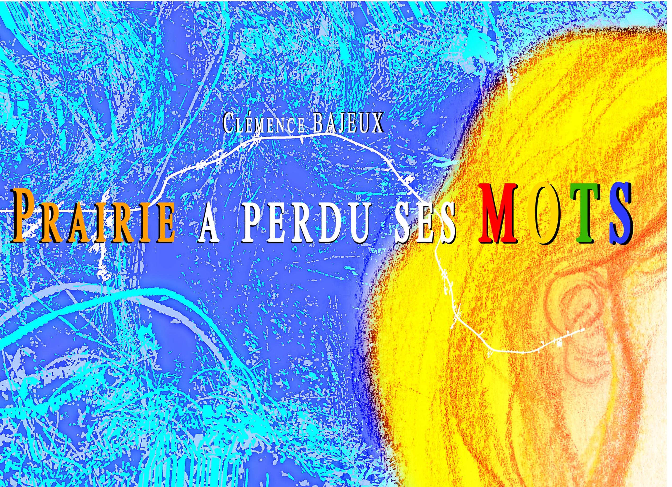 Vorderes Coverbild Prairie a perdu ses MOTS