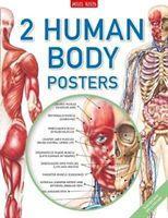 Vorderes Coverbild Human Body Poster Pack