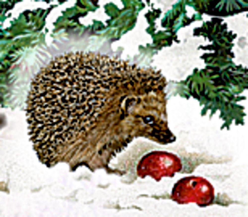 Beispielinhalt (Bild) Wandkalender - Eisenbahn-Tanne