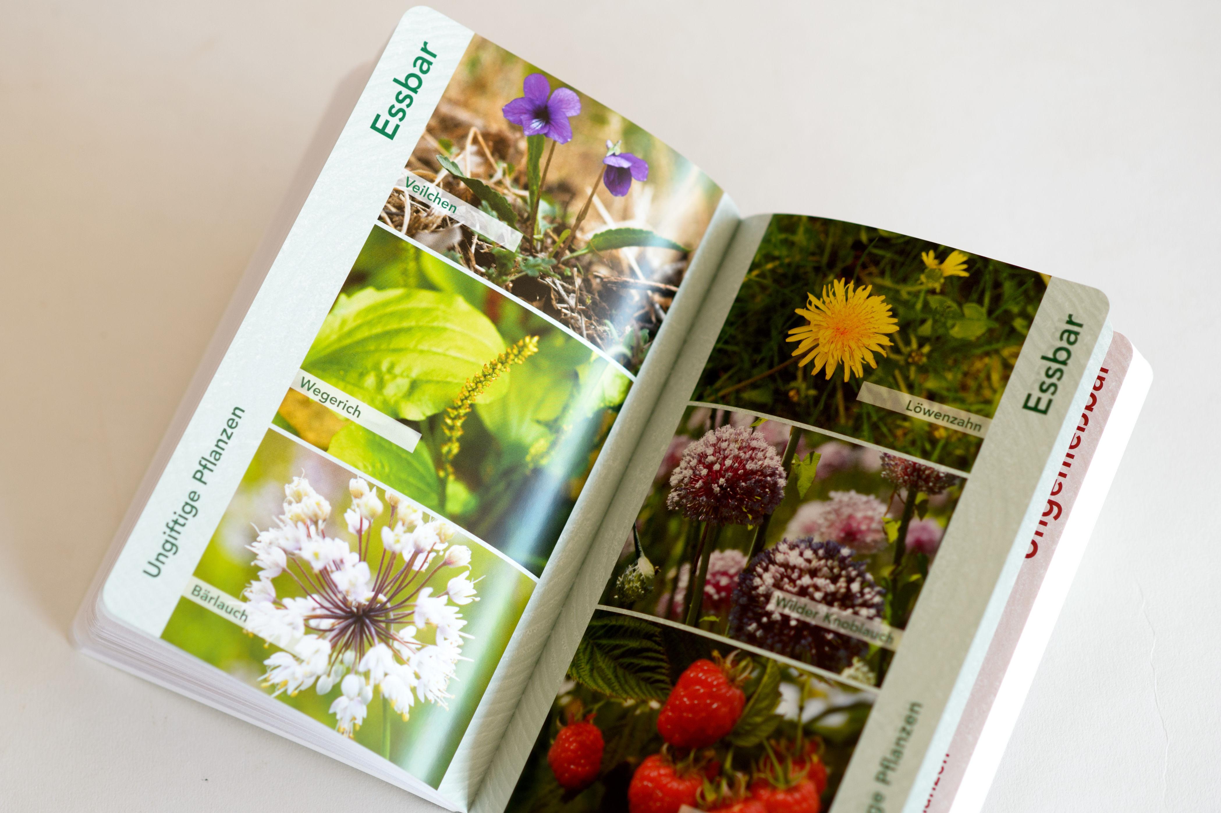 Beispielinhalt (Bild) Bushcraft - Jagen, Sammeln, Kochen in der Wildnis (Überlebenstechniken, Survival)