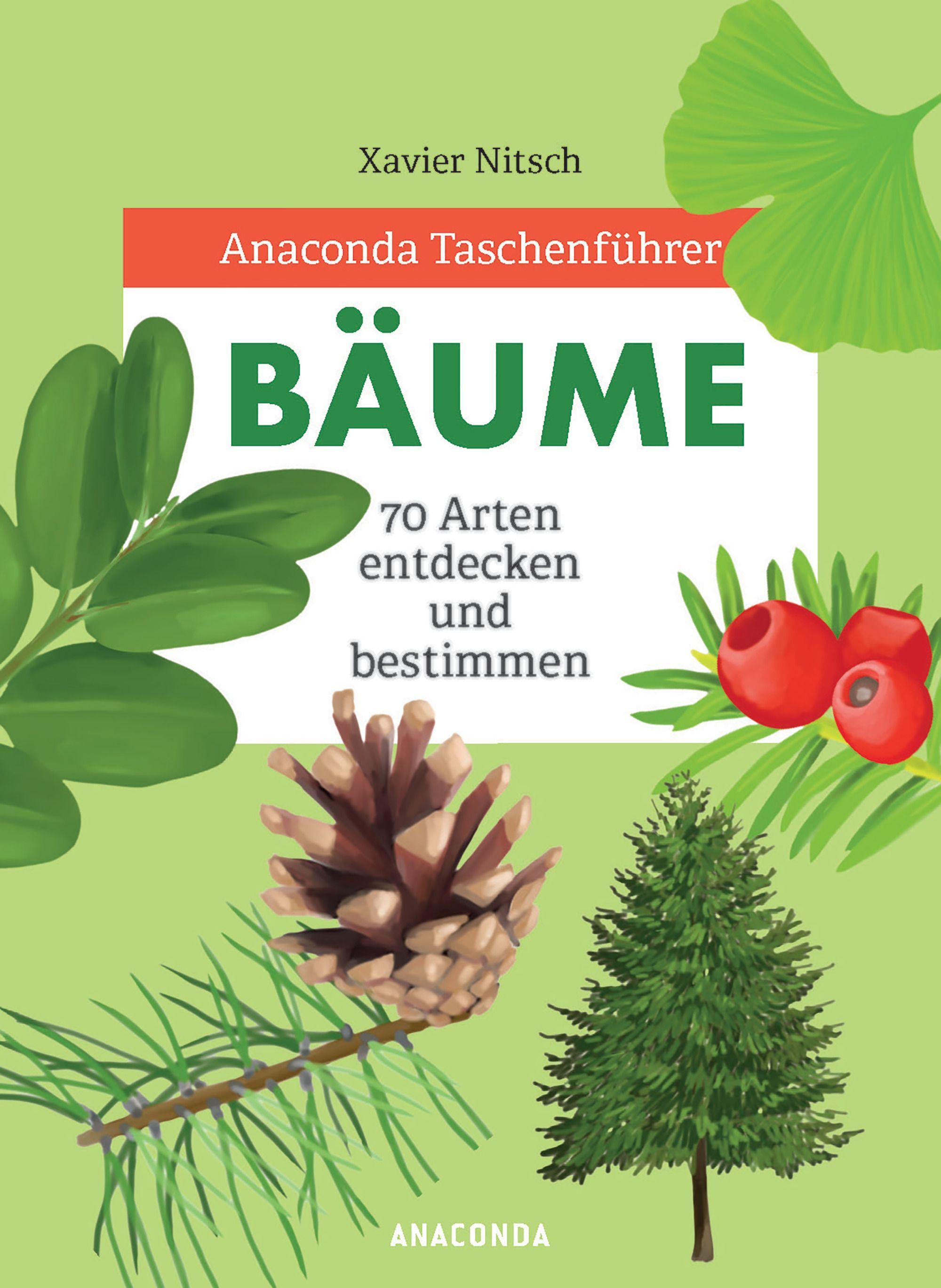 Vorderes Coverbild Anaconda Taschenführer Bäume. 70 Arten entdecken und bestimmen  -