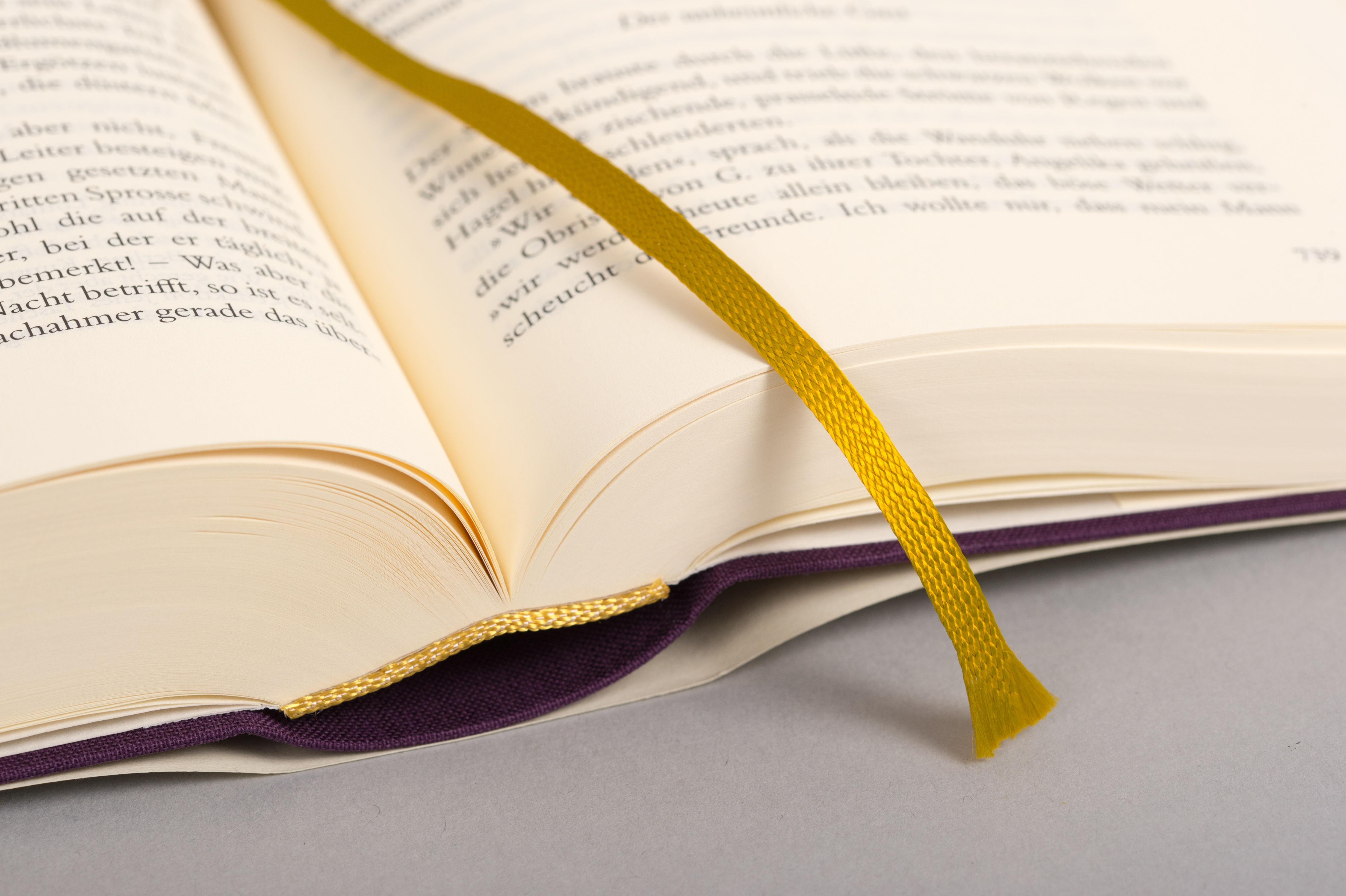 Beispielinhalt (Bild) Die Serapionsbrüder