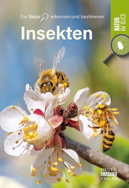 Vorderes Coverbild Insekten