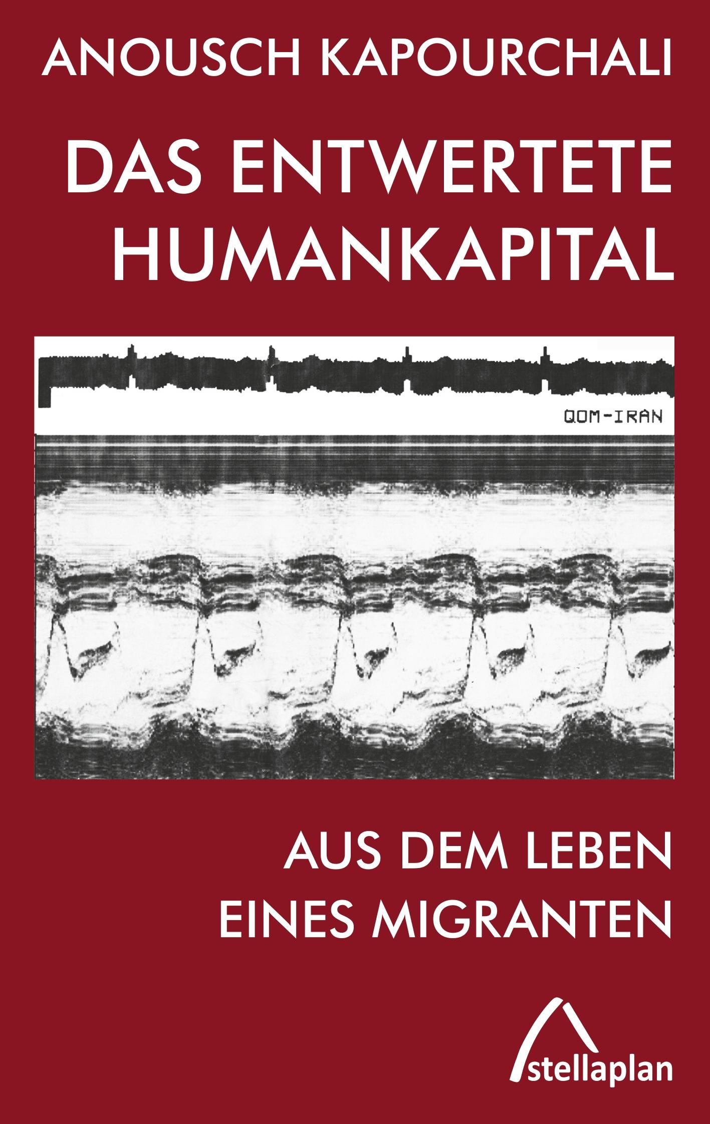 Vorderes Coverbild Das entwertete Humankapital