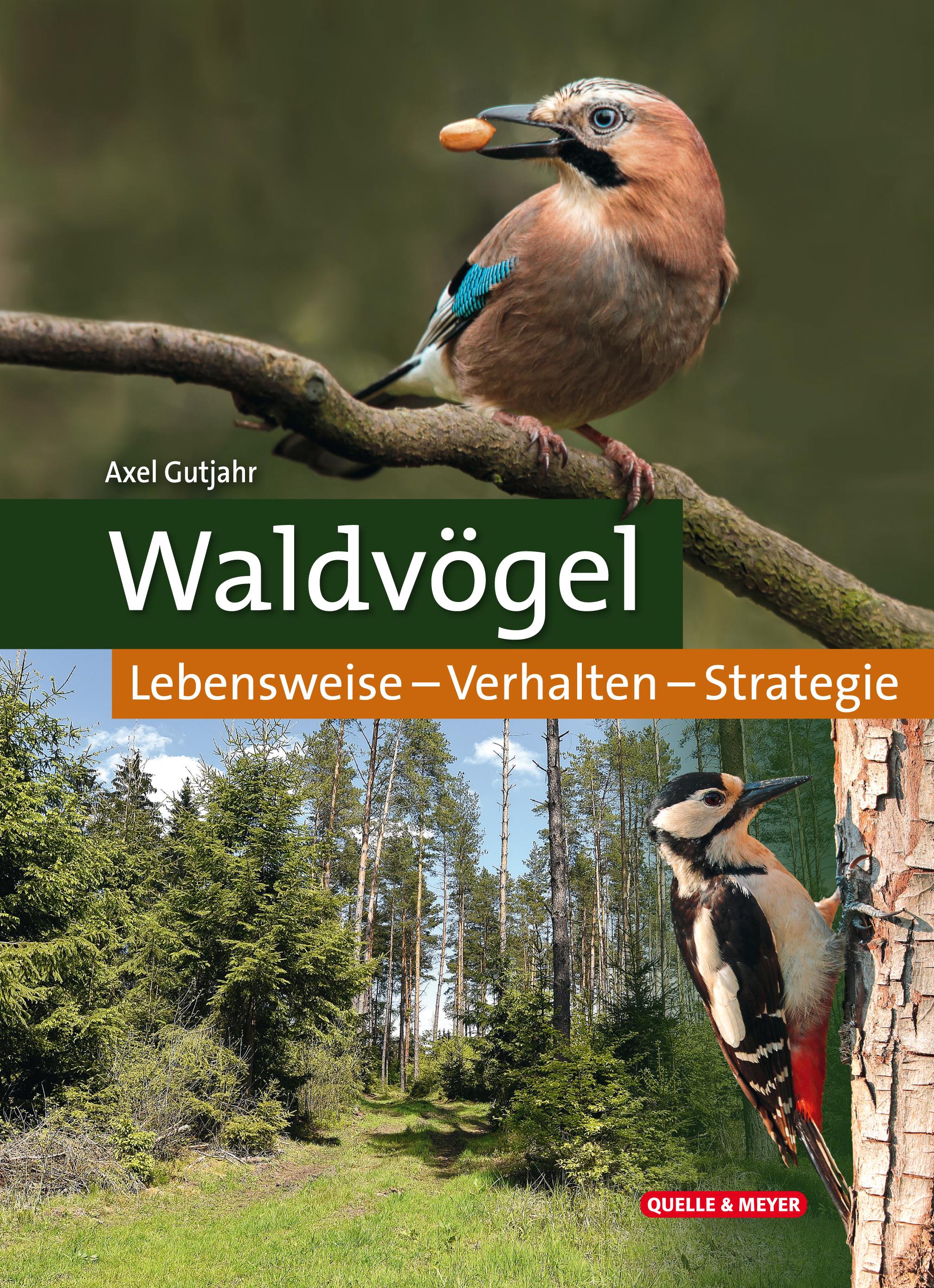 Vorderes Coverbild Waldvögel