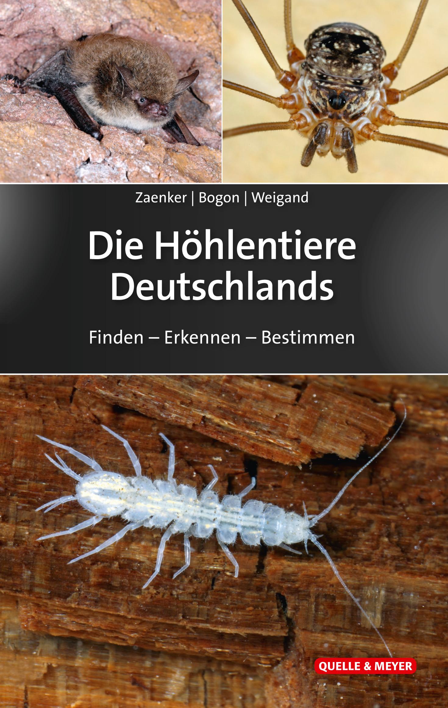 Vorderes Coverbild Die Höhlentiere Deutschlands