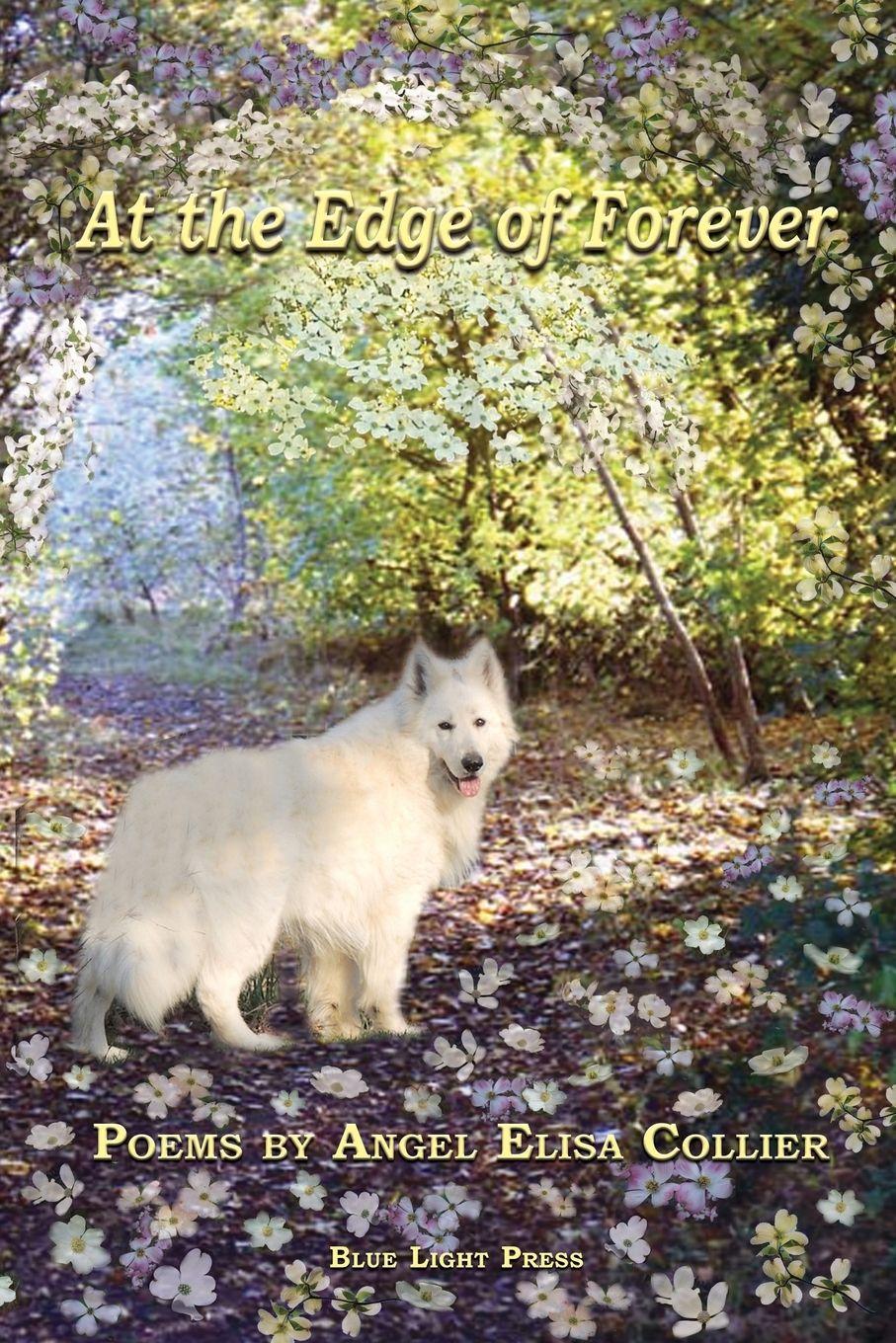 Vorderes Coverbild At The Edge Of Forever