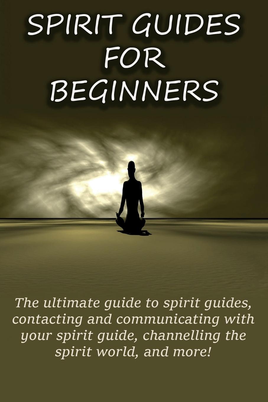 Vorderes Coverbild Spirit Guides for Beginners