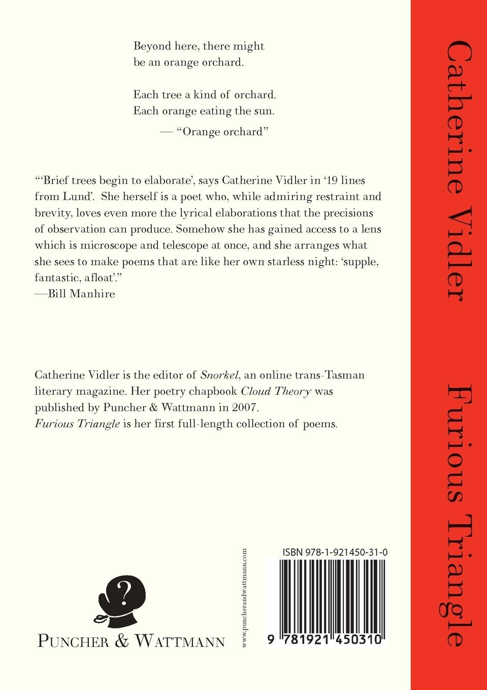 Rückseitencover Furious Triangle