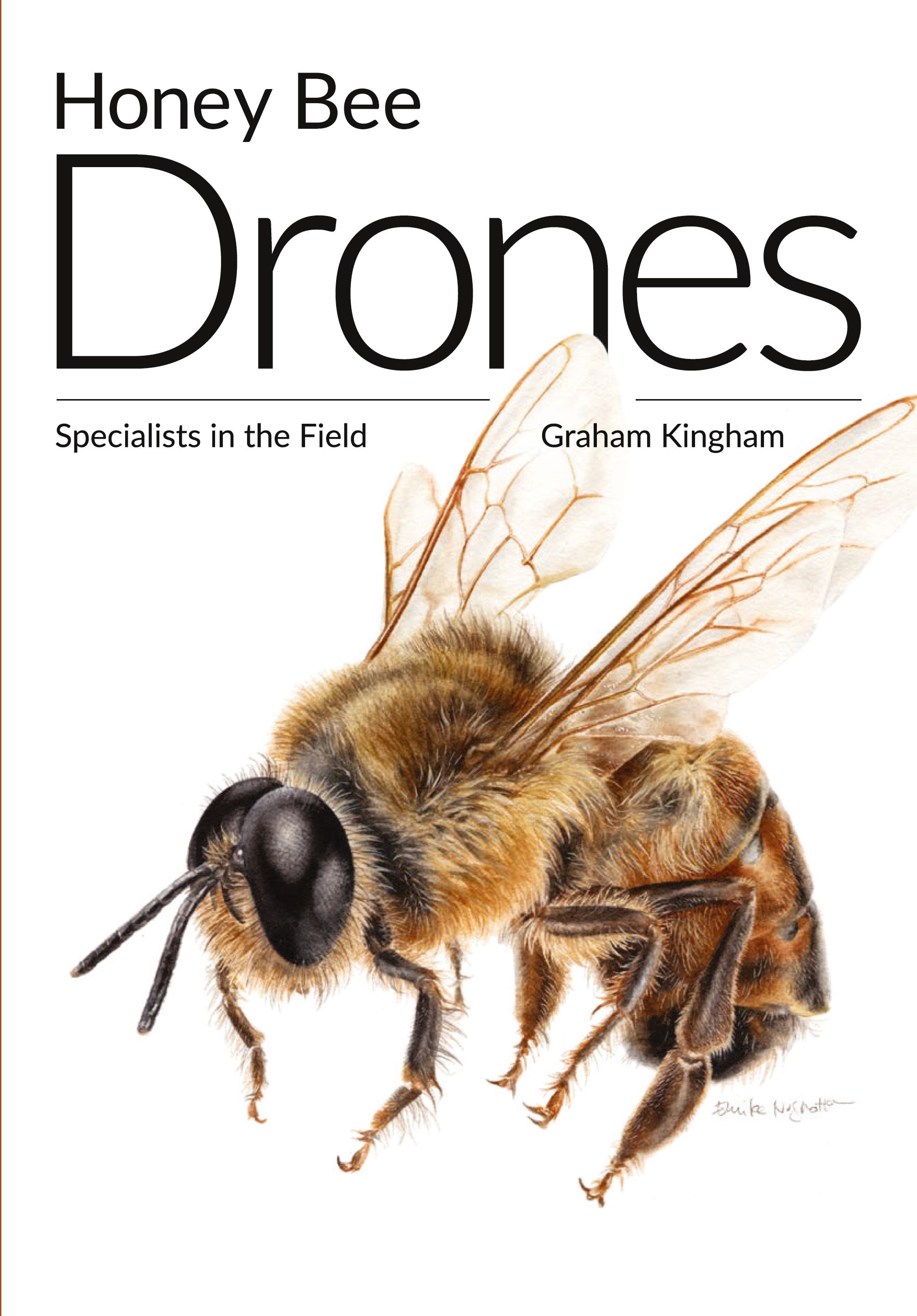 Vorderes Coverbild Honey Bee Drones