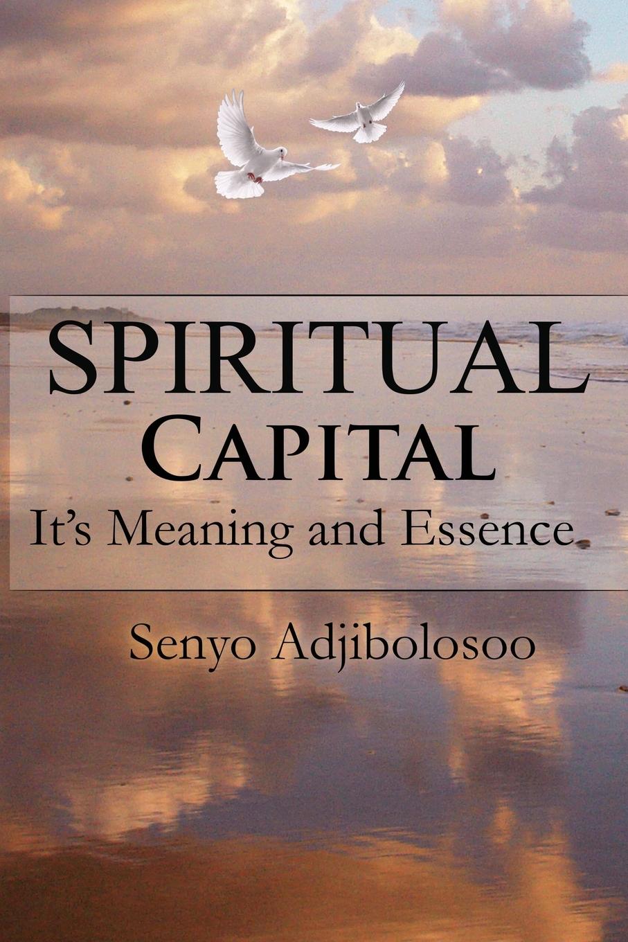 Vorderes Coverbild Spiritual Capital
