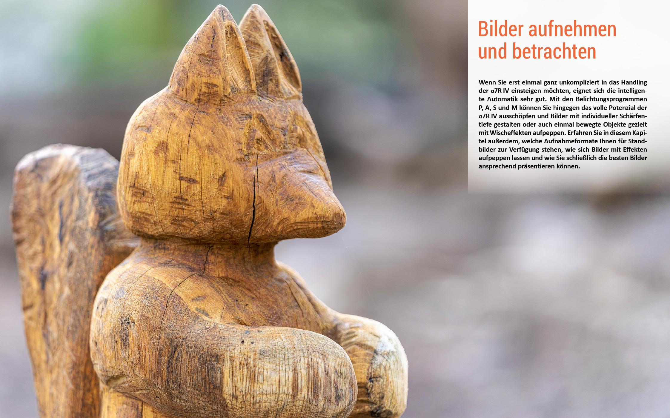 Beispielinhalt (Bild) Sony A7R IV