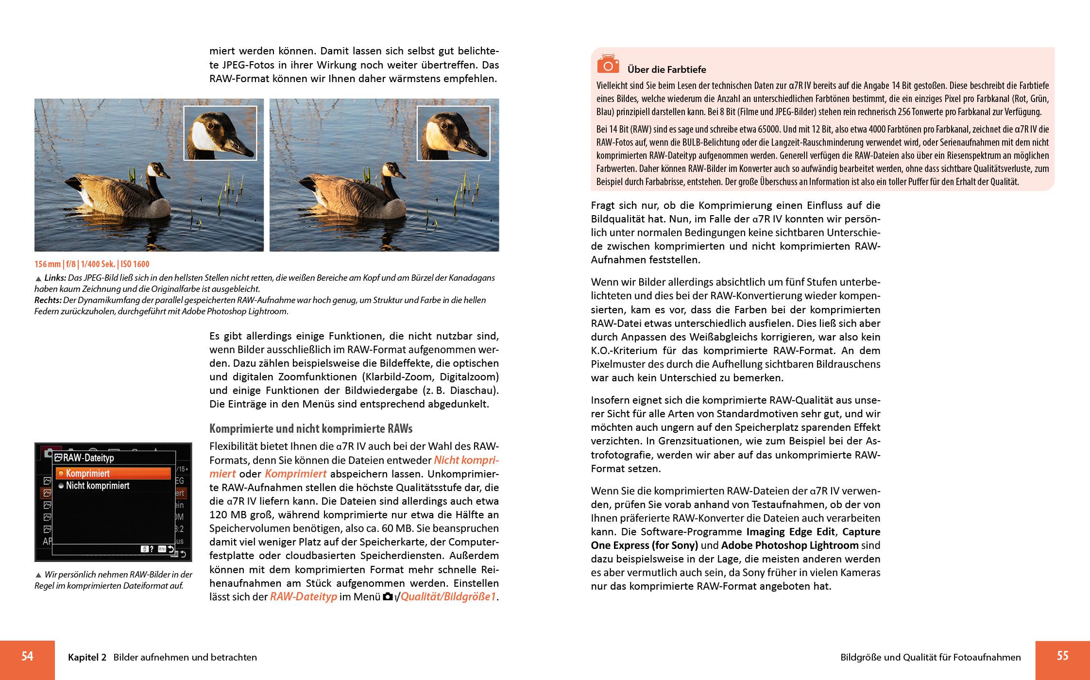 Beispielinhalt (Bild) Sony A7R IV