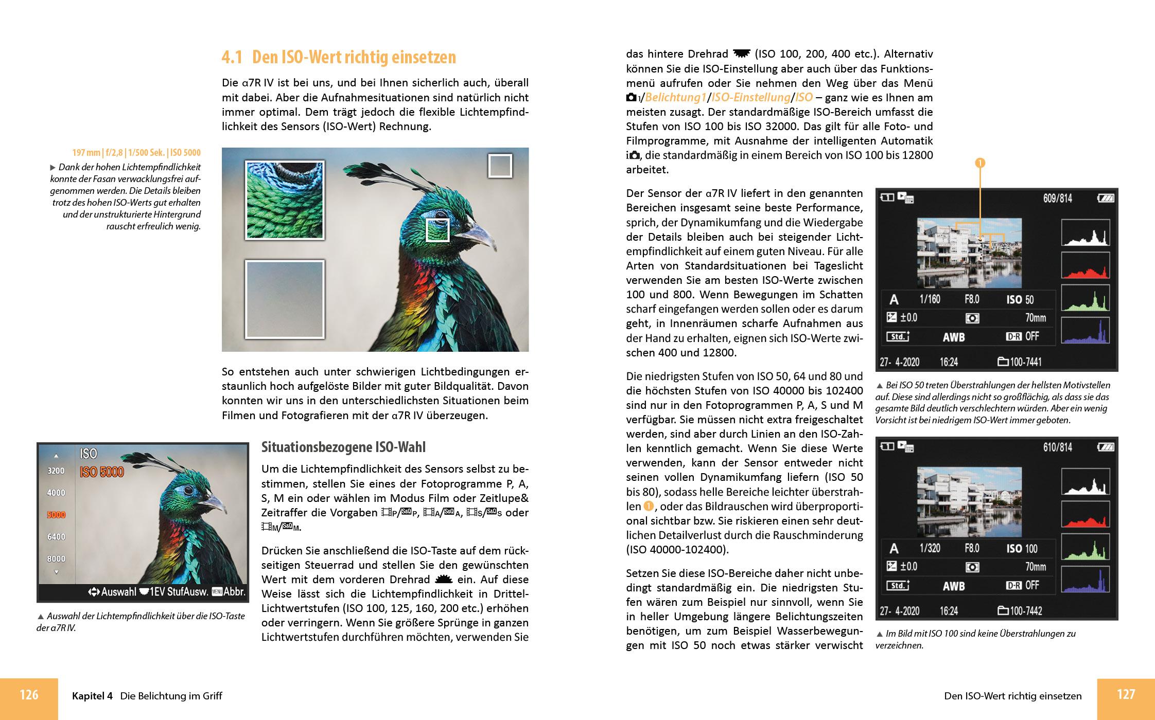 Beispielinhalt (Bild) Sony A7R IV