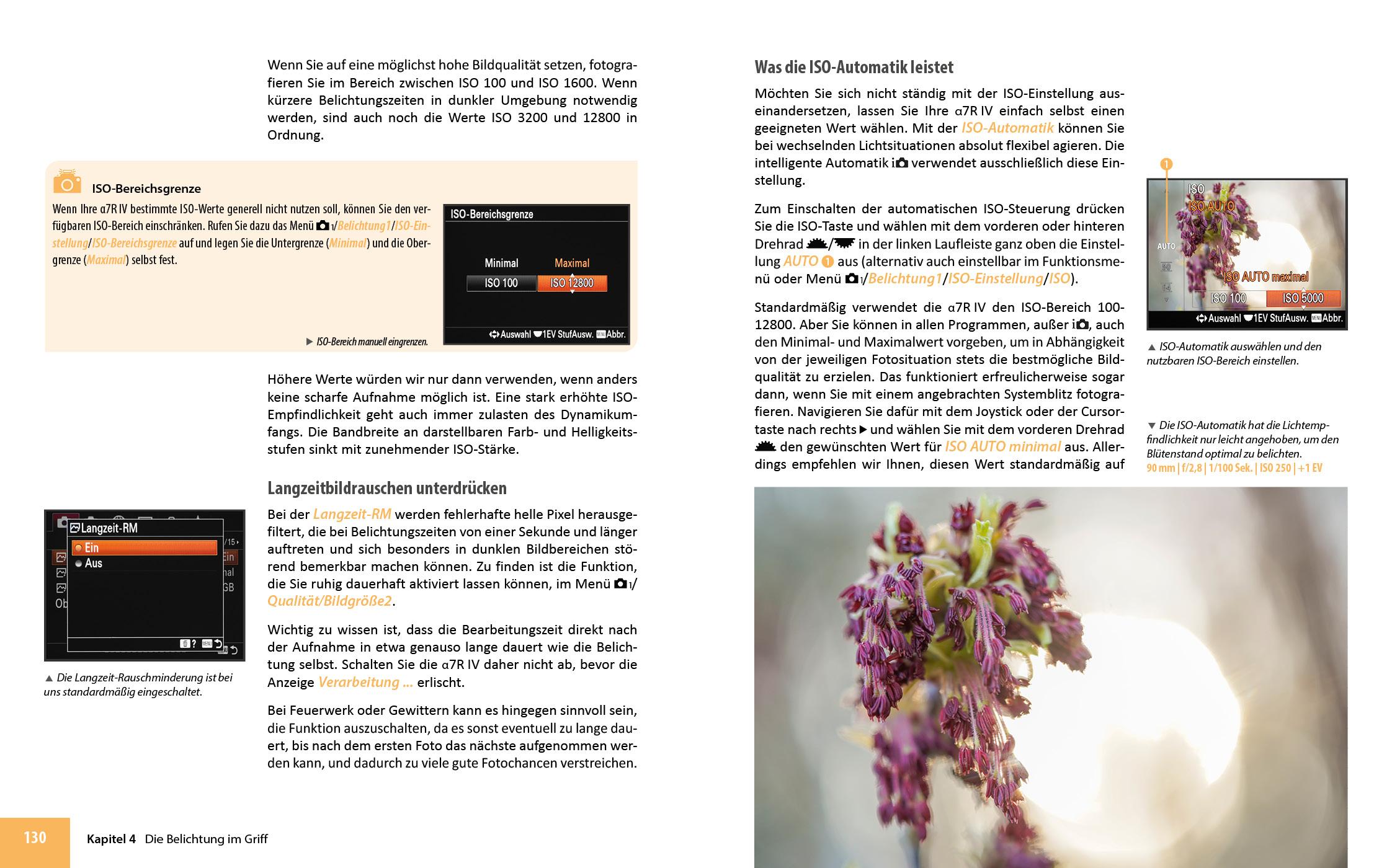 Beispielinhalt (Bild) Sony A7R IV